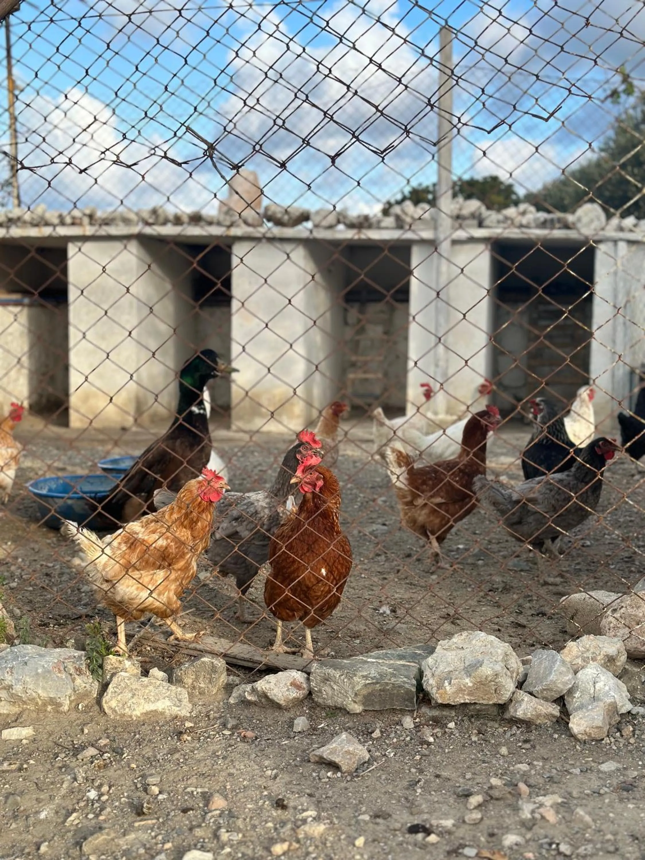 Day in Goknar Knidos Adults Only Eco Retreat and Farm