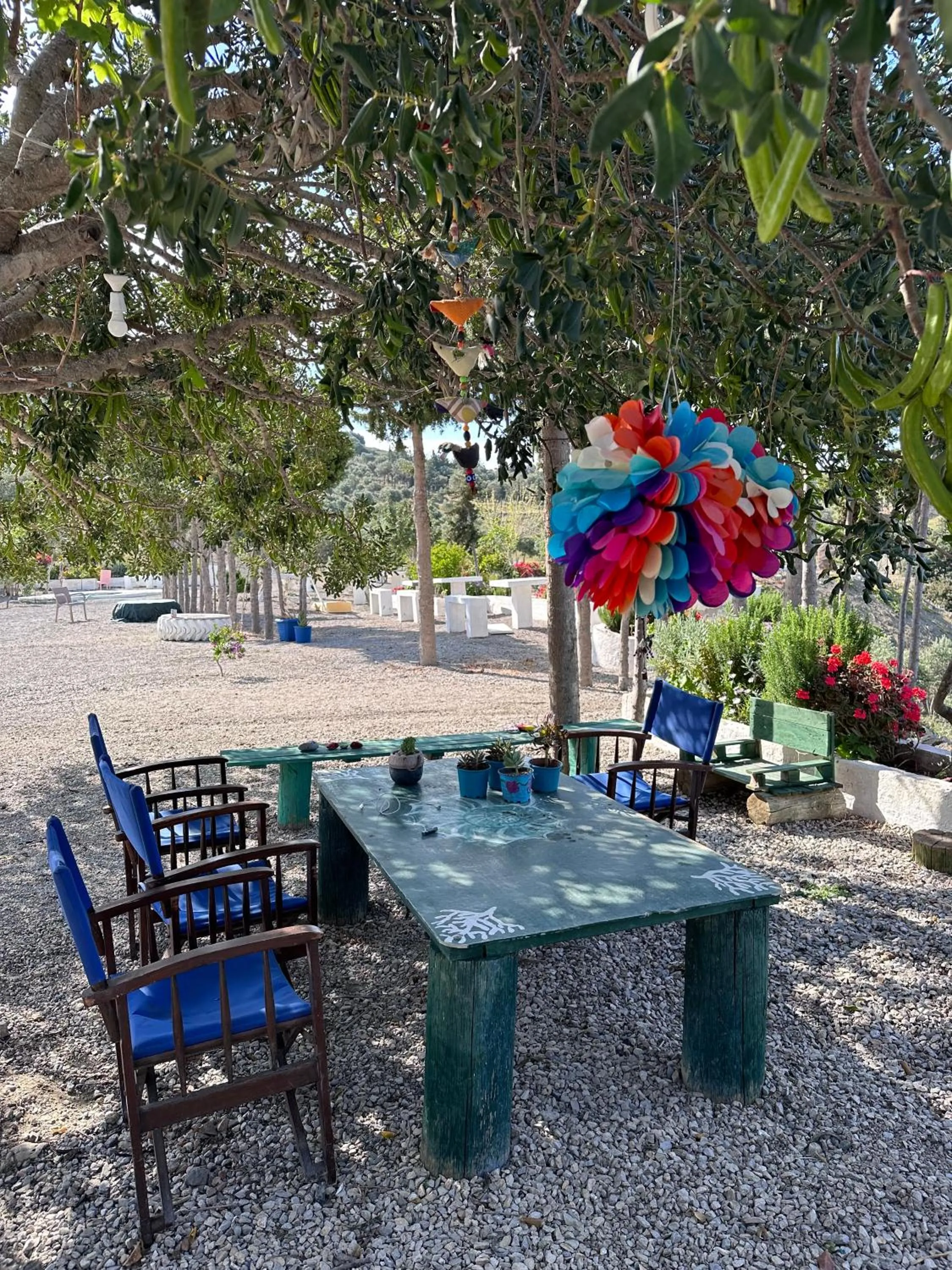 Day in Goknar Knidos Adults Only Eco Retreat and Farm