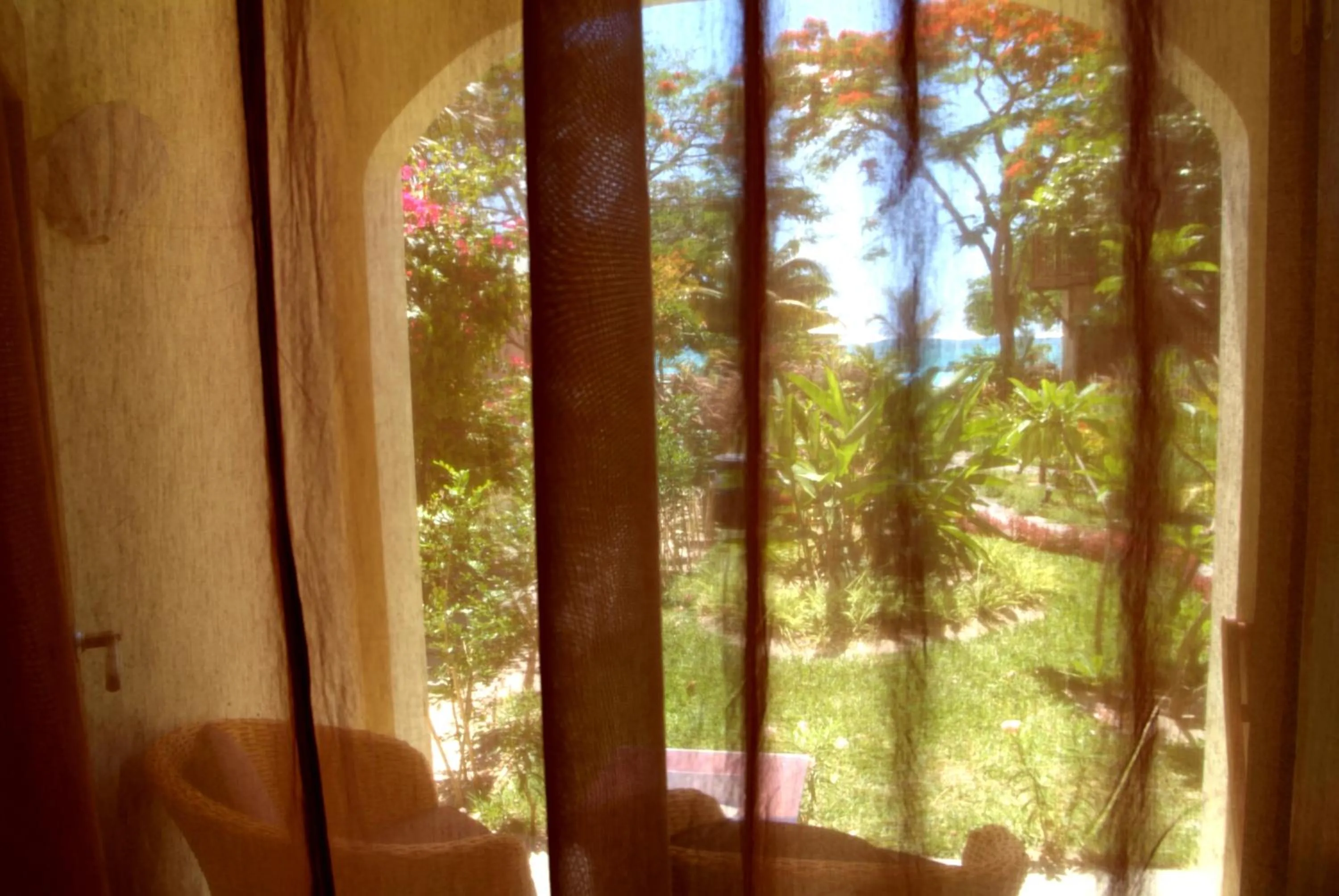 View (from property/room) in Ocean Beauty