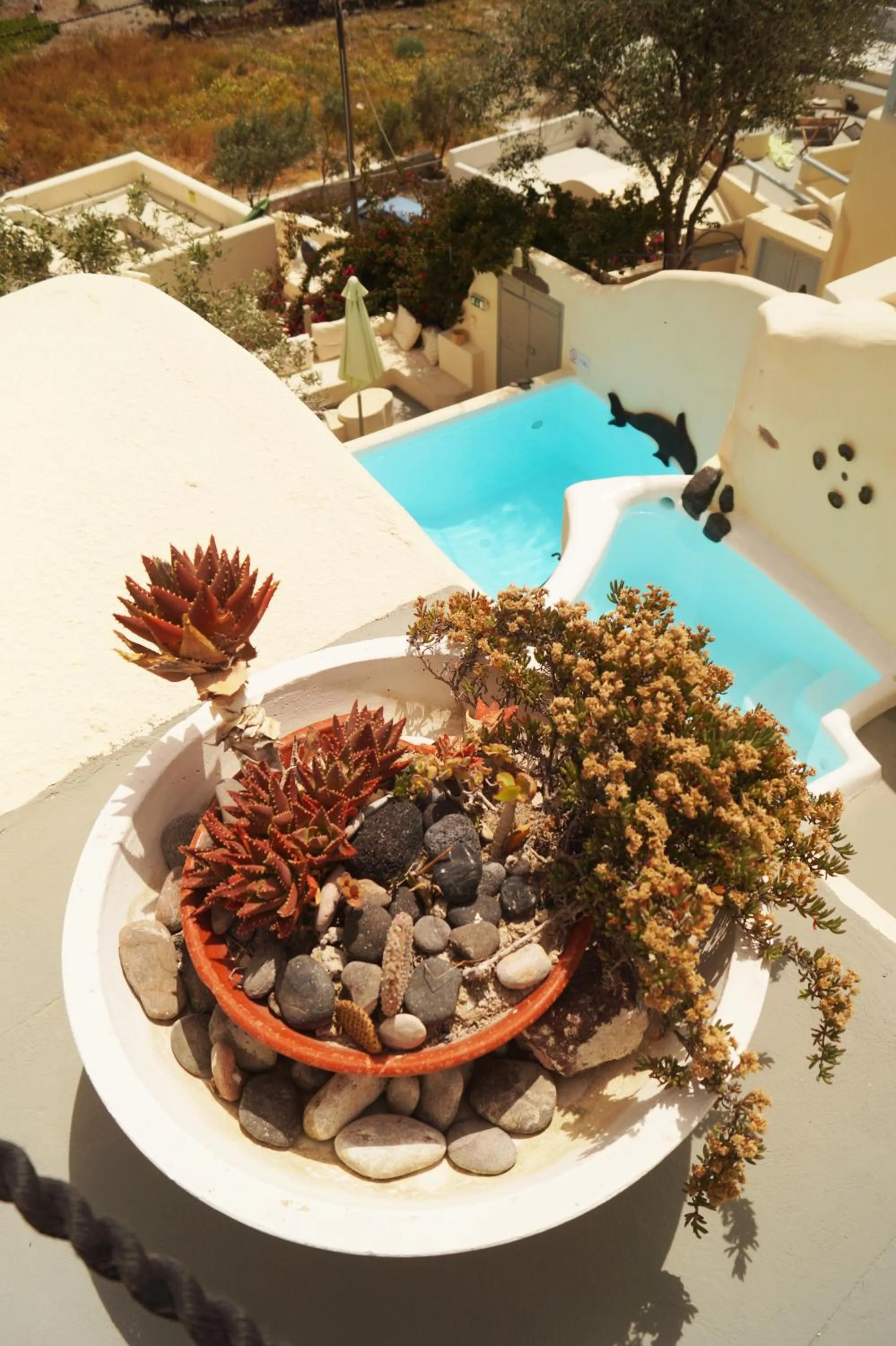 Pool view in Timedrops Santorini Villas