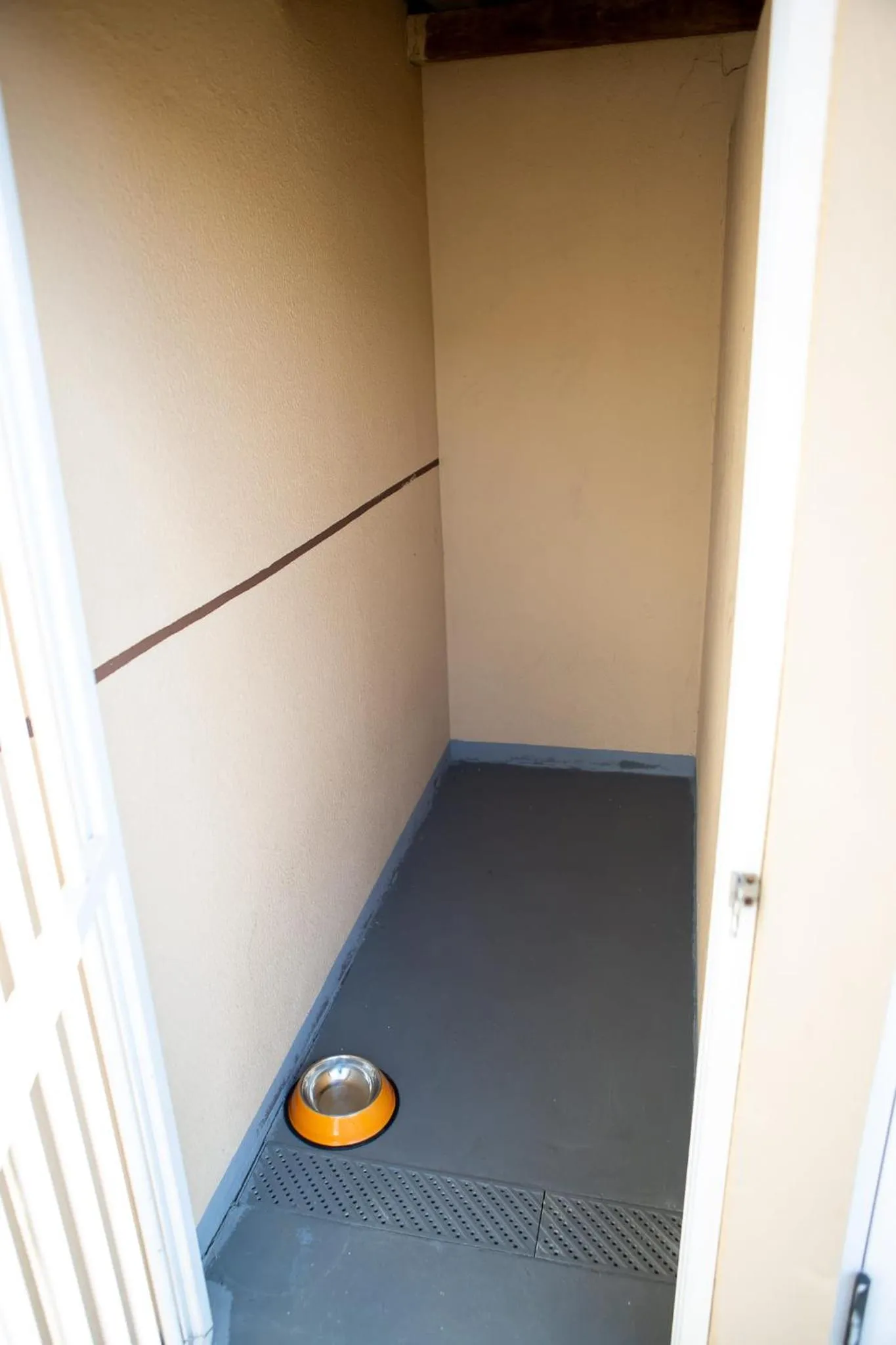 Pets in Hotel 10 Joinville