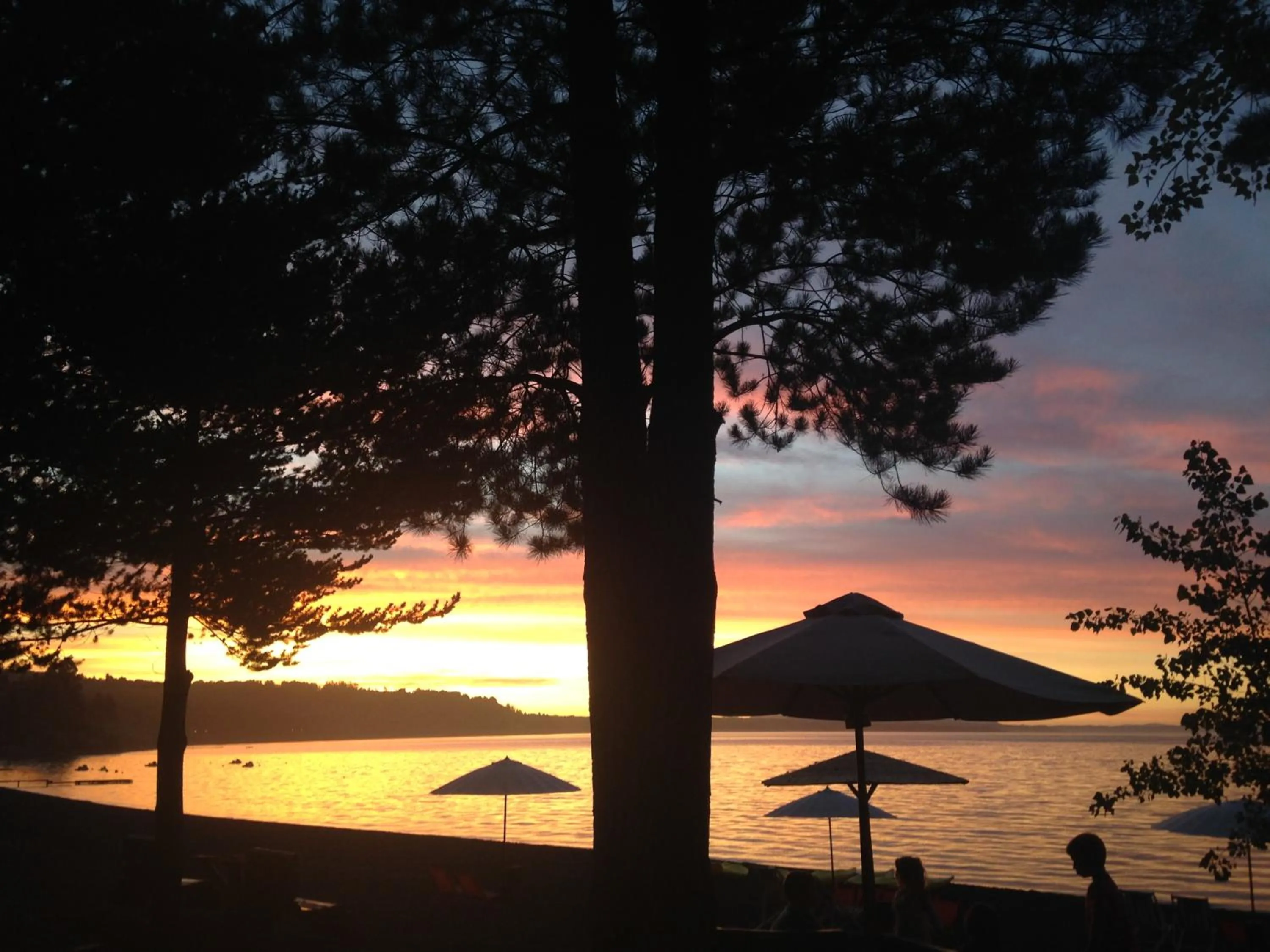 Natural landscape in Magma Lodge, Pucon