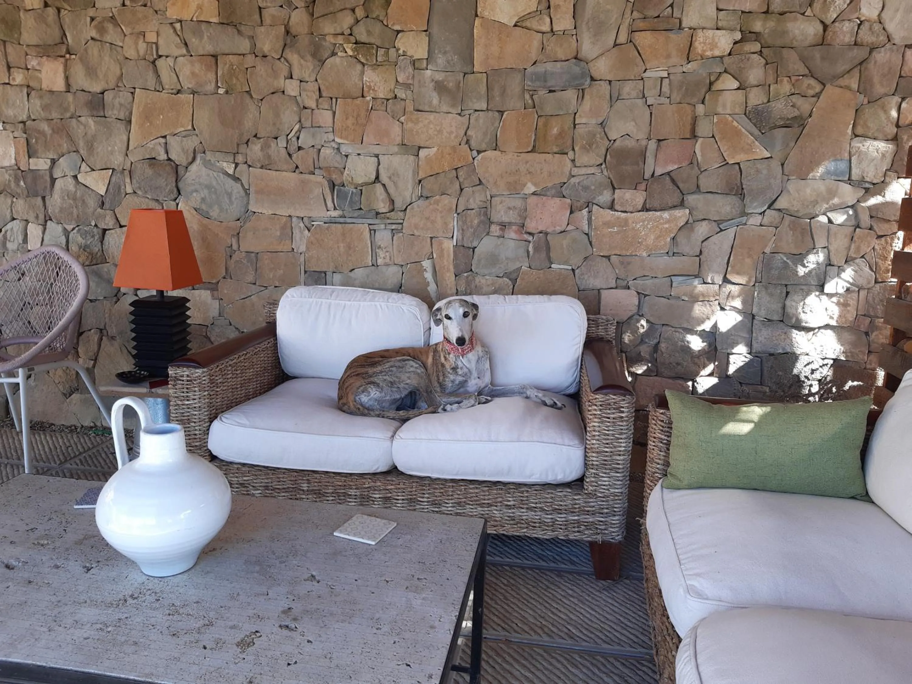 Patio in il burellino