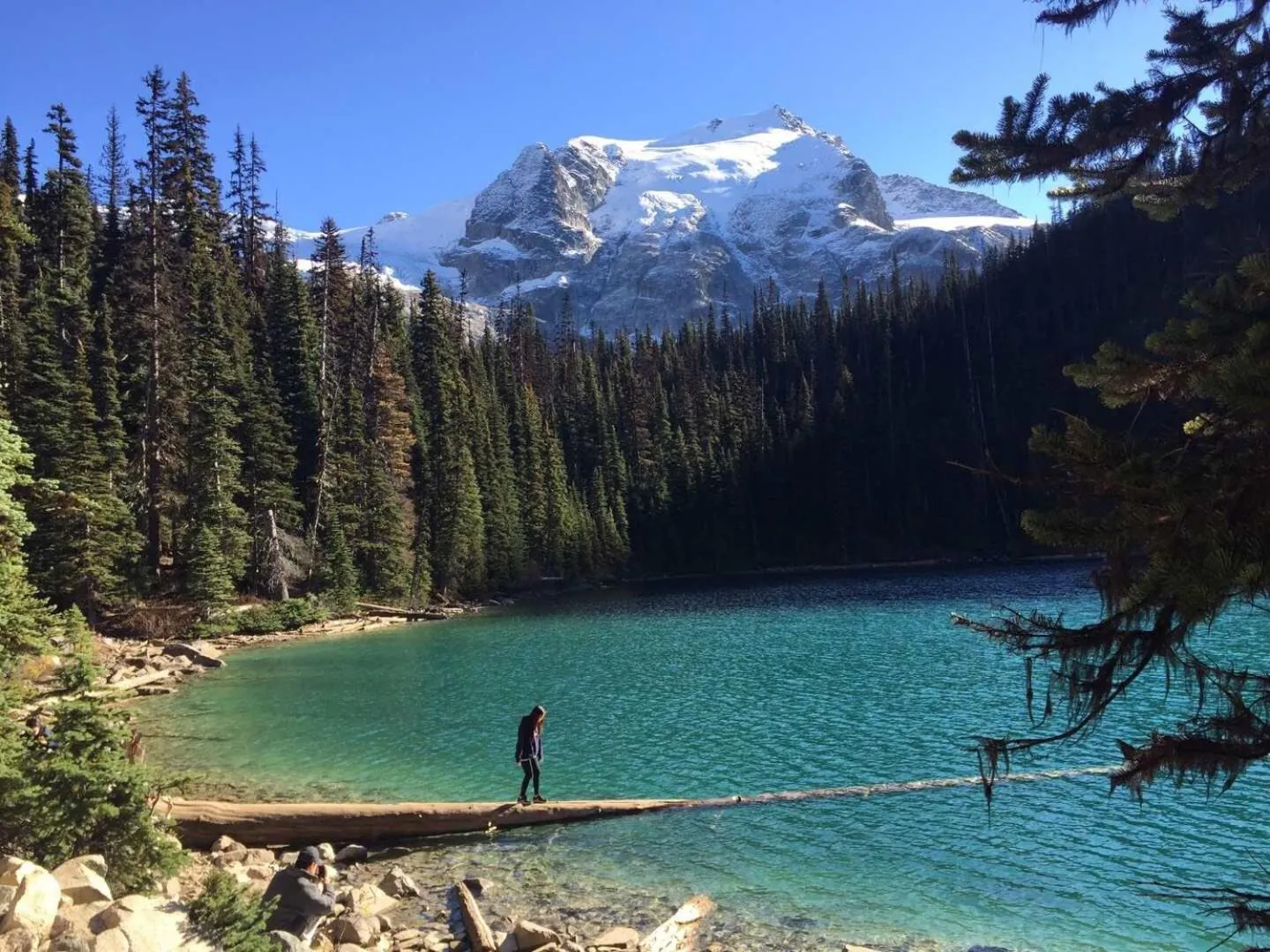 The Sunshine House-Free Parking