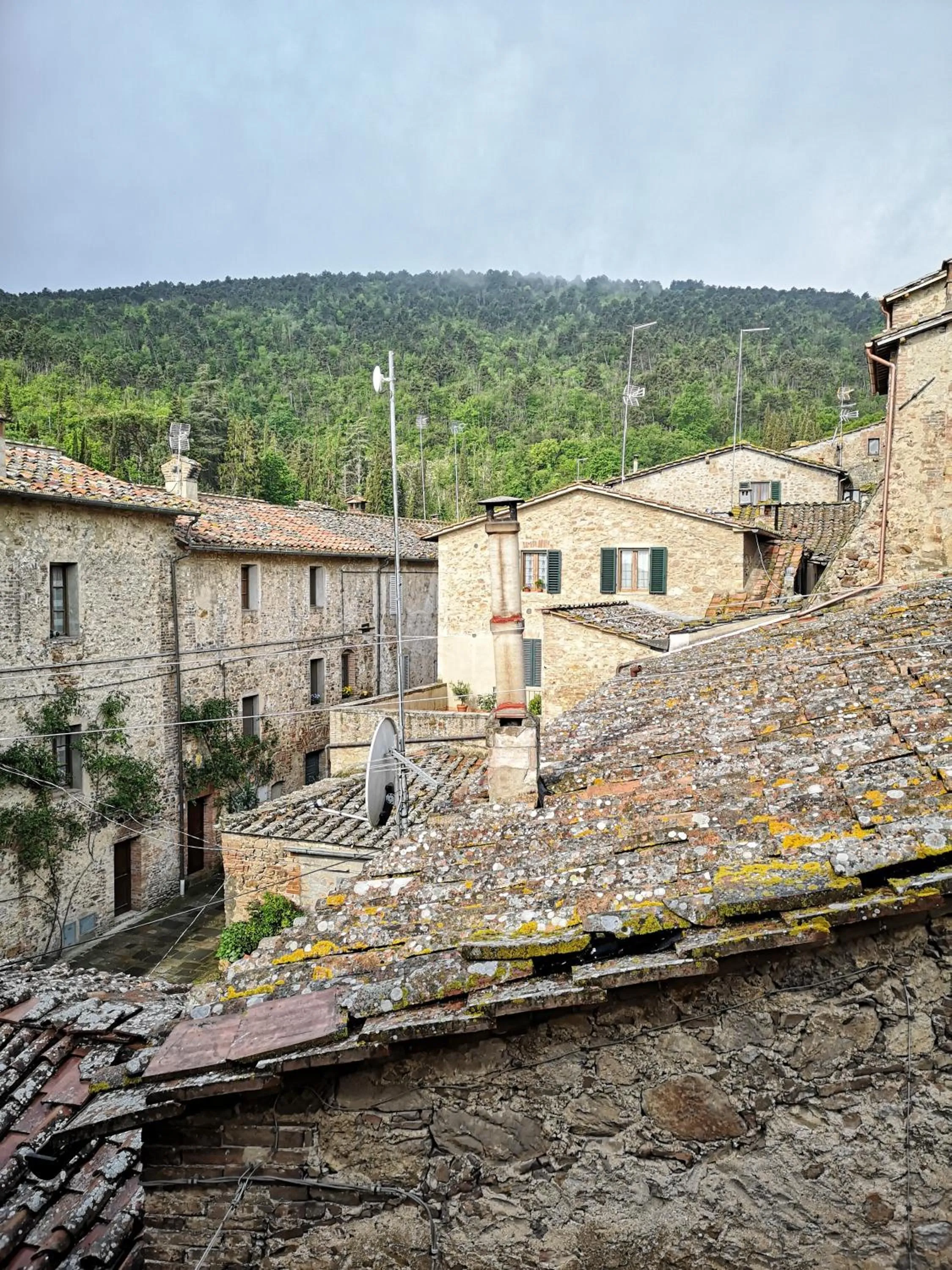 View (from property/room) in Antico Borgo di Torri