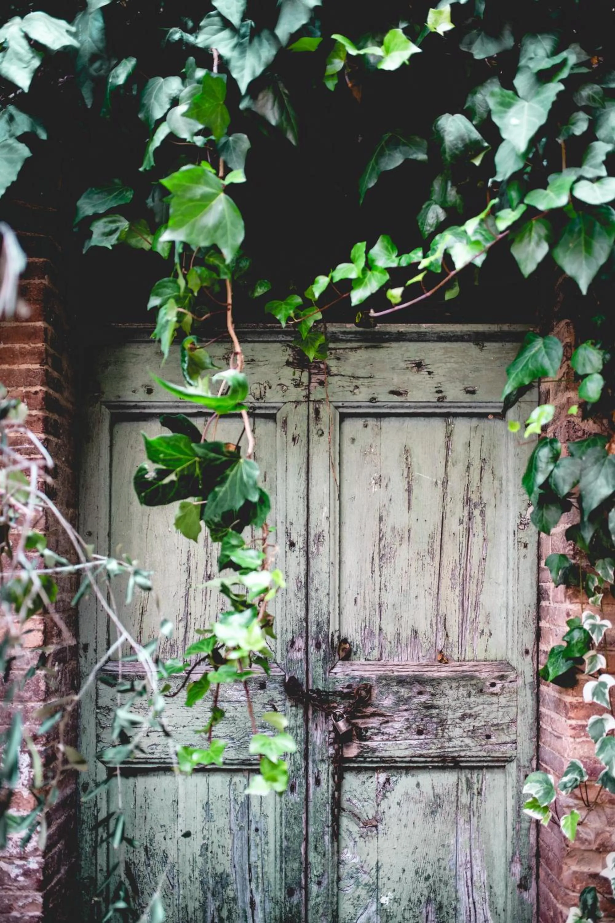 Patio in Antico Borgo di Torri