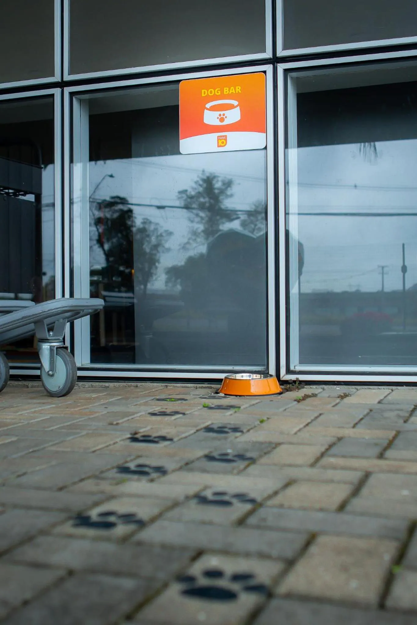 pet friendly in Hotel 10 Curitiba