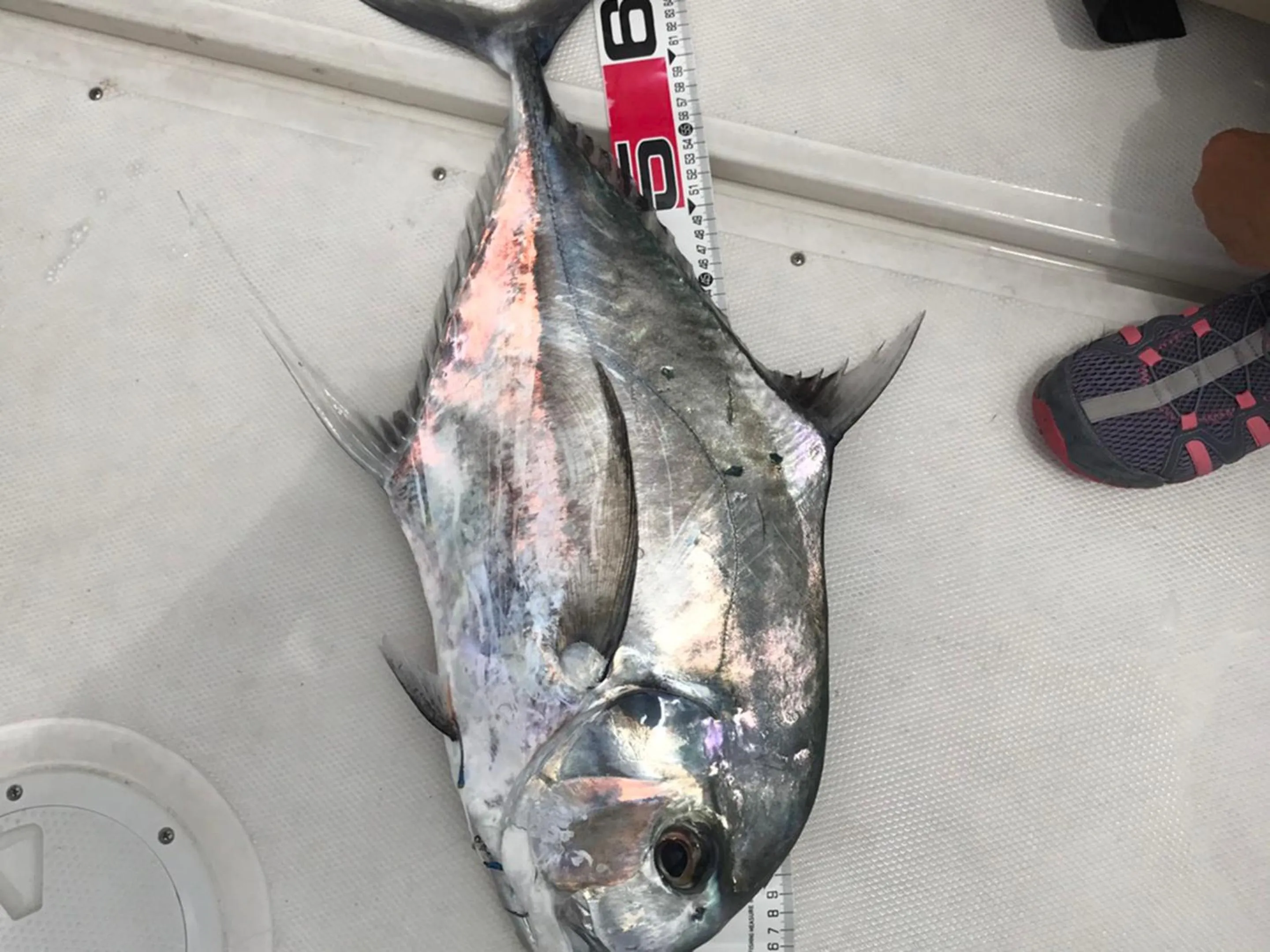 Off site in Painushima Resort