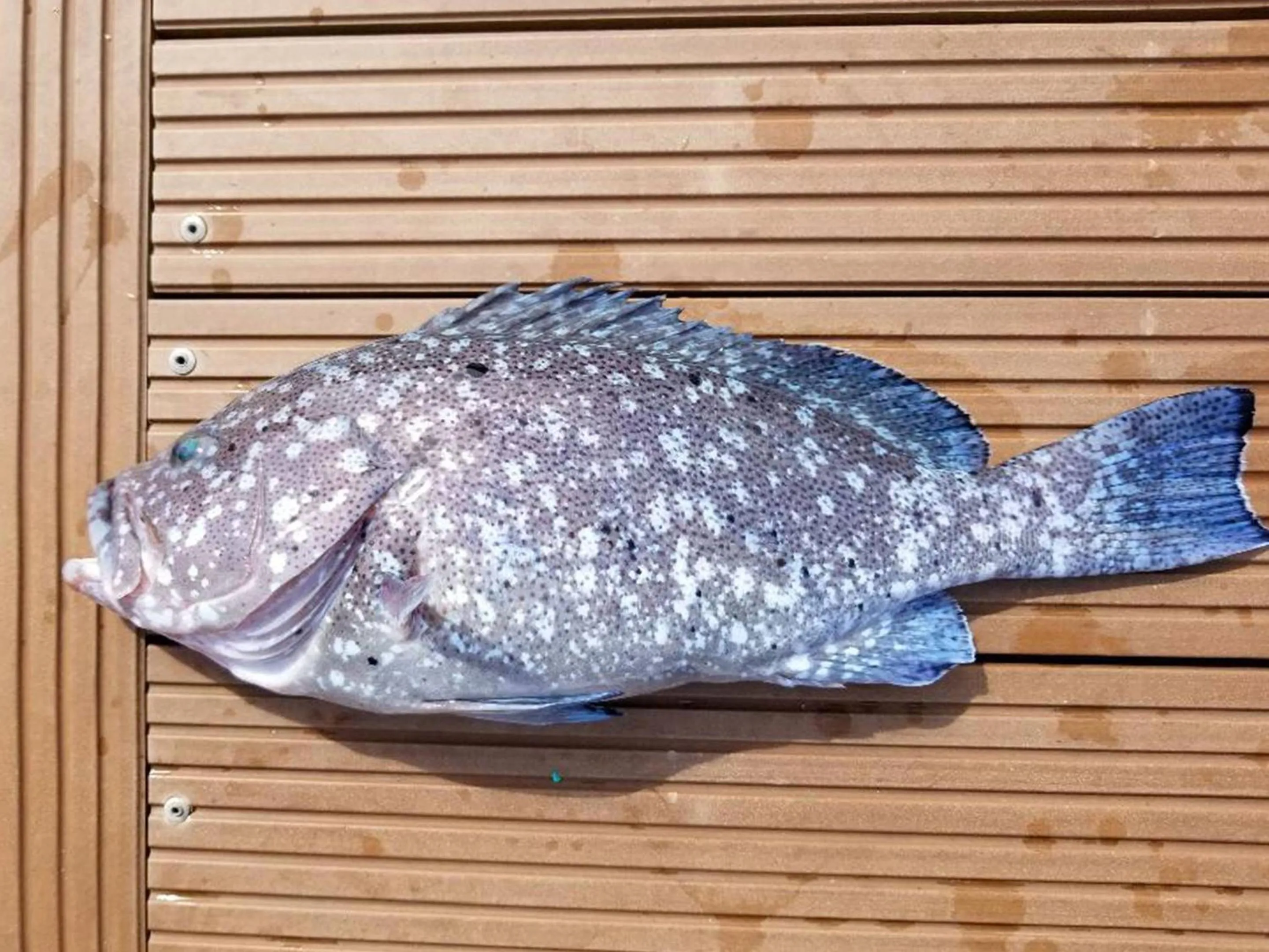 Off site in Painushima Resort