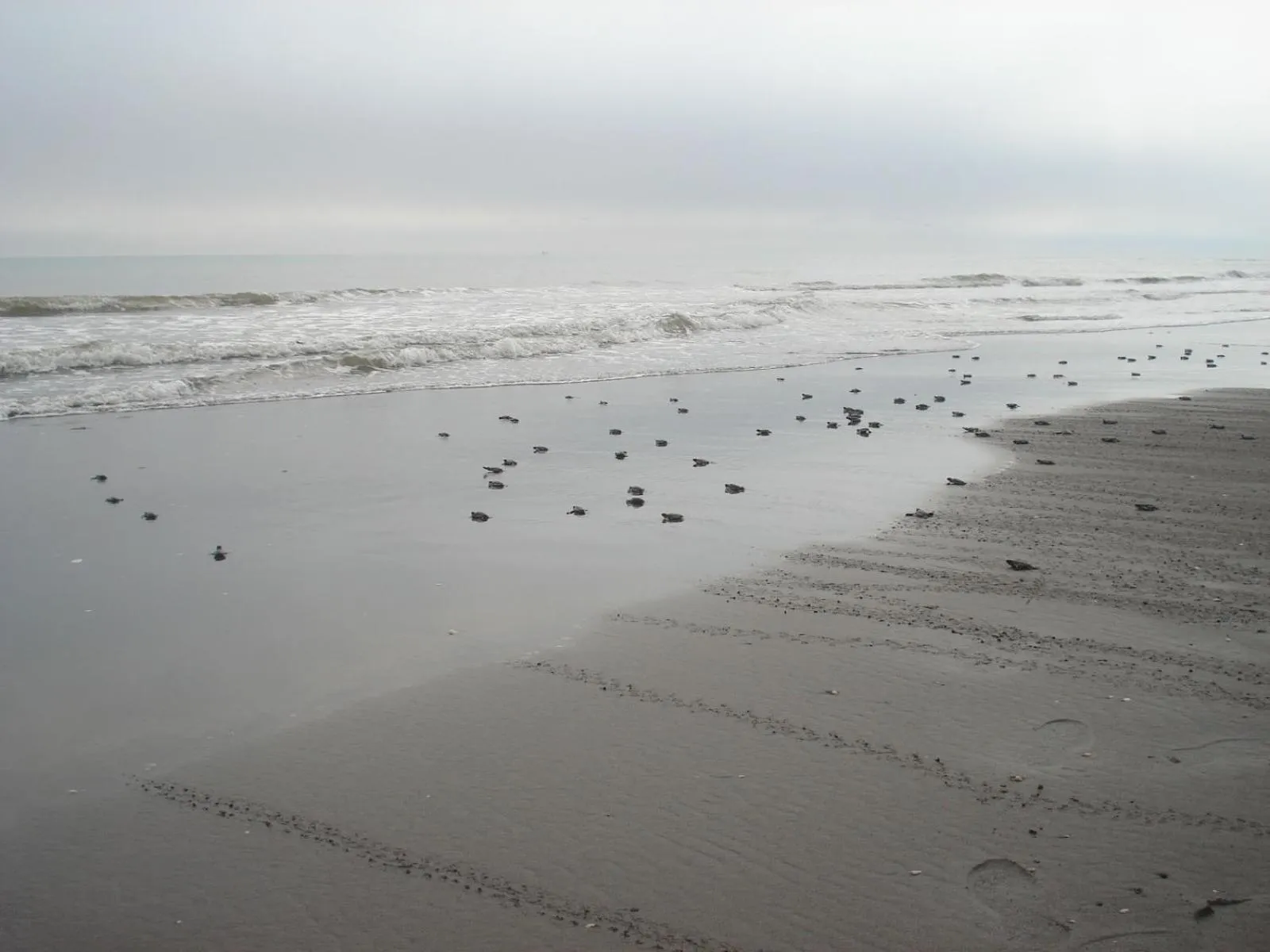 Beach in Hotel Istirinchá