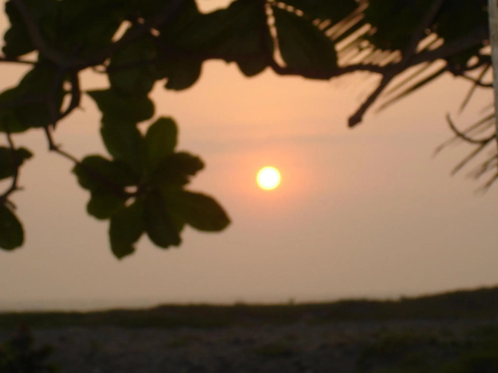 Natural landscape in Hotel Istirinchá