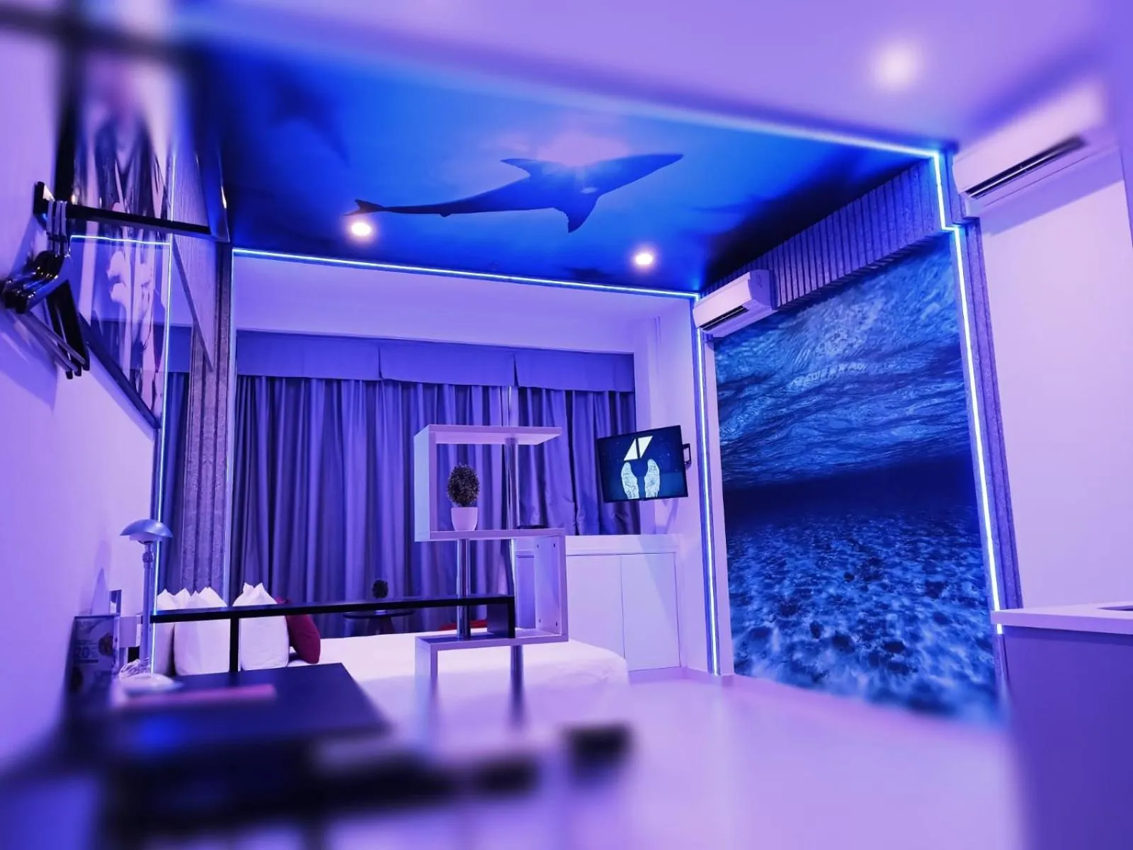 TV and multimedia in The Bridge Club