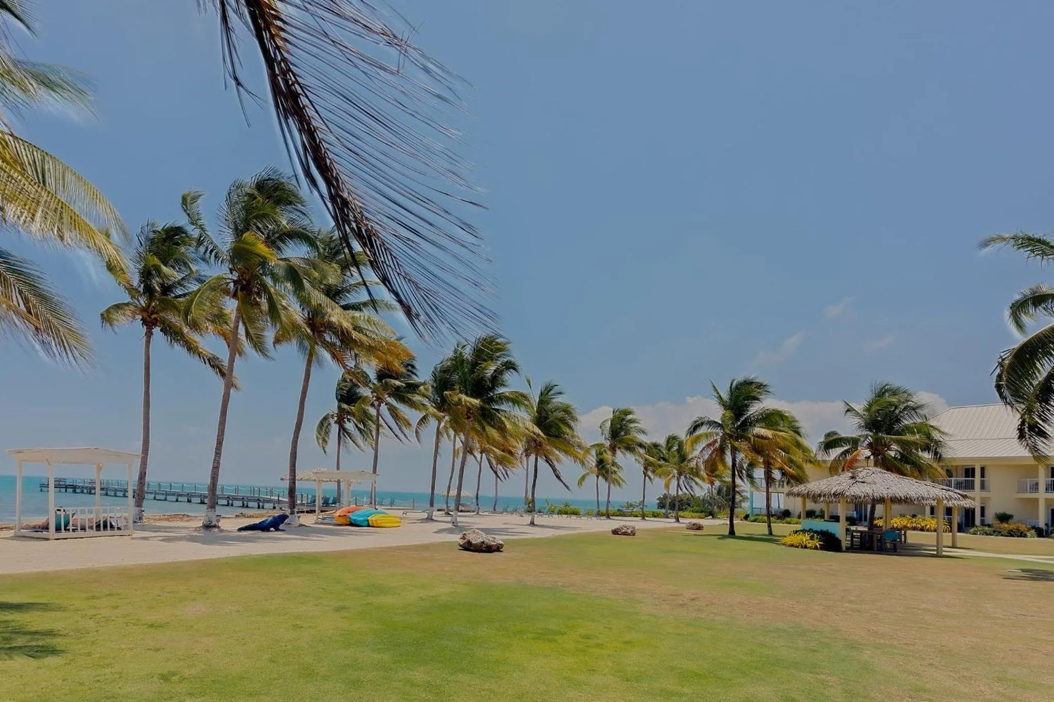 Beach in Holiday Inn Resort Grand Cayman by IHG