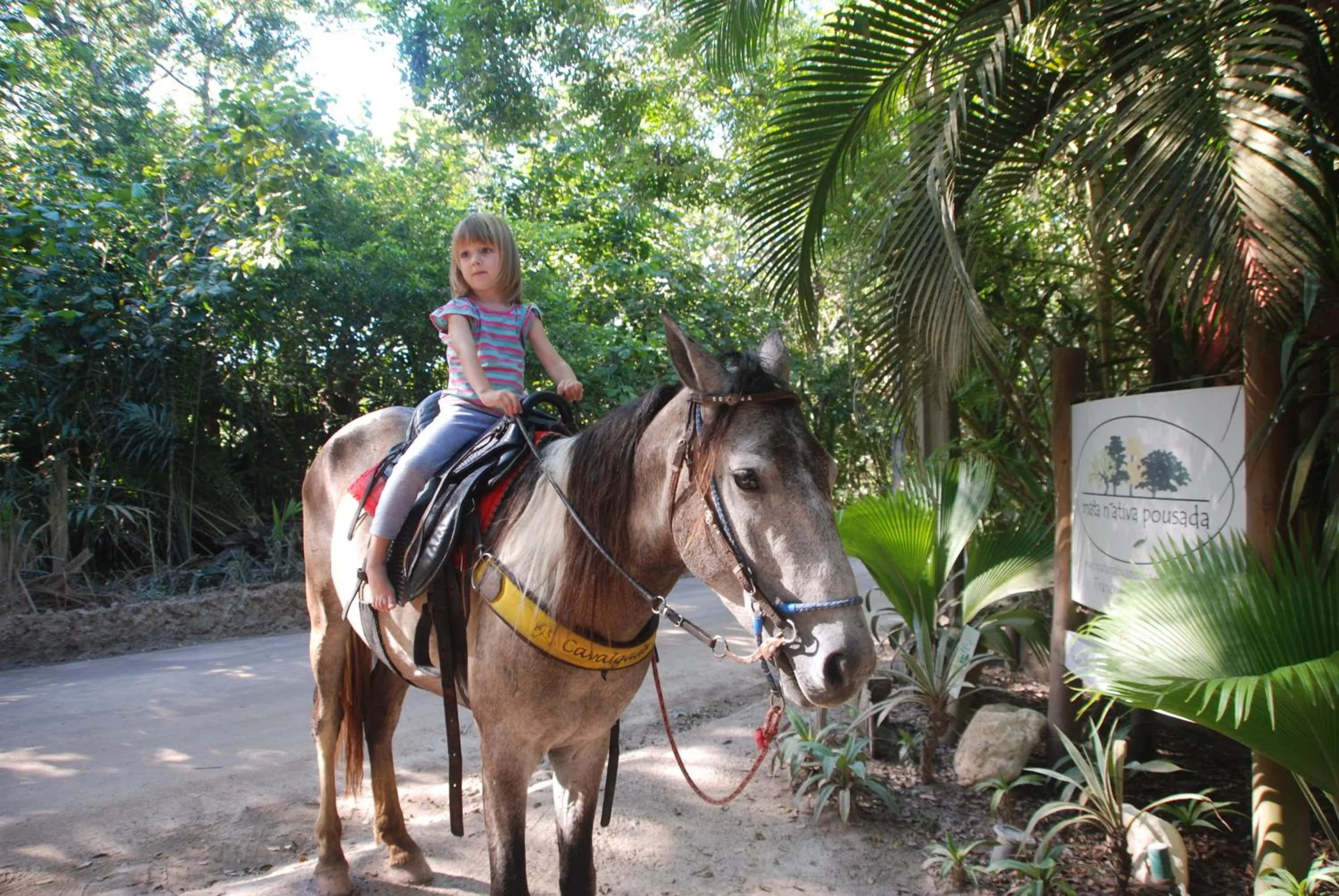 Horse-riding in Mata N'ativa Pousada