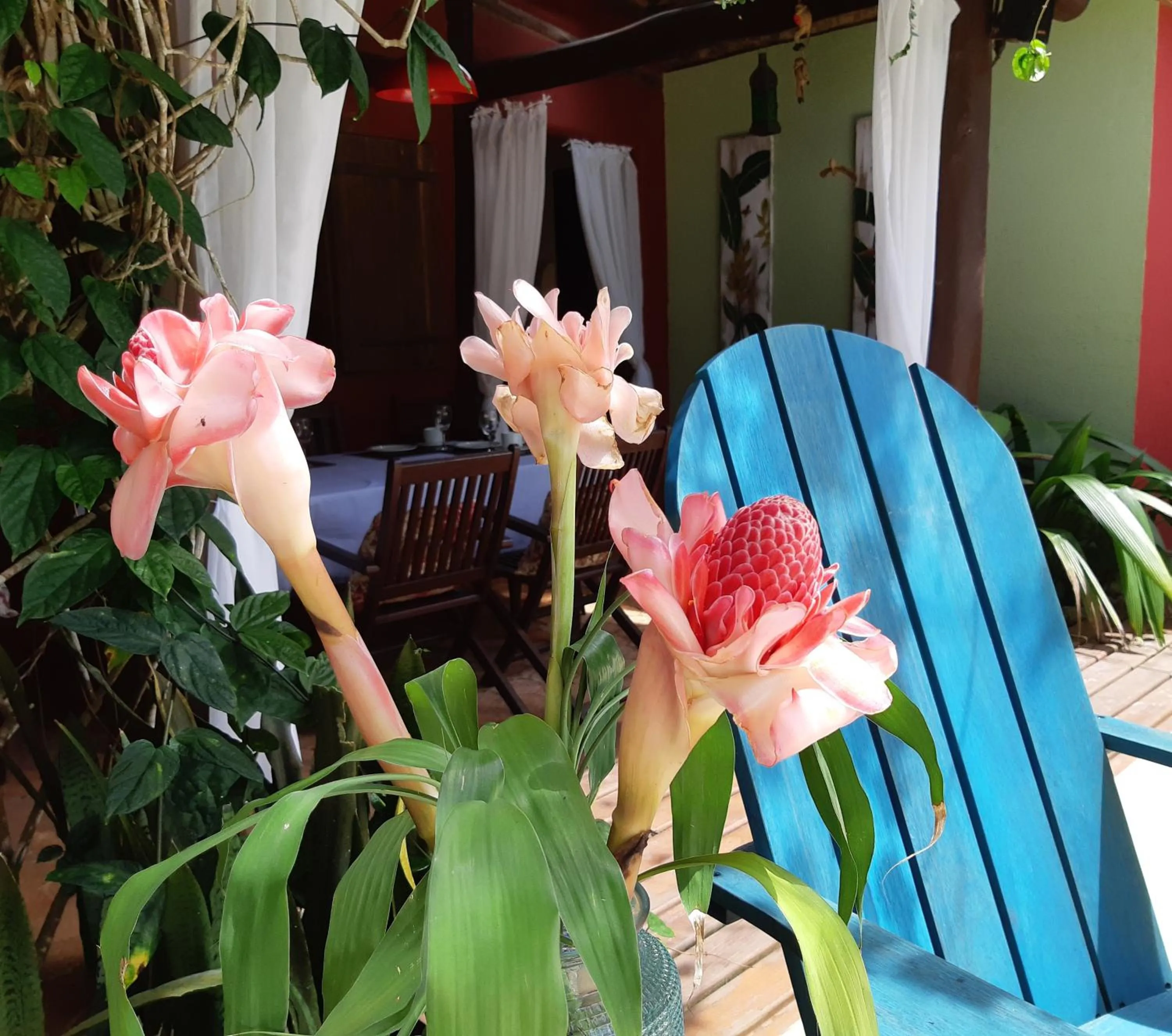 Pool view in Mata N'ativa Pousada