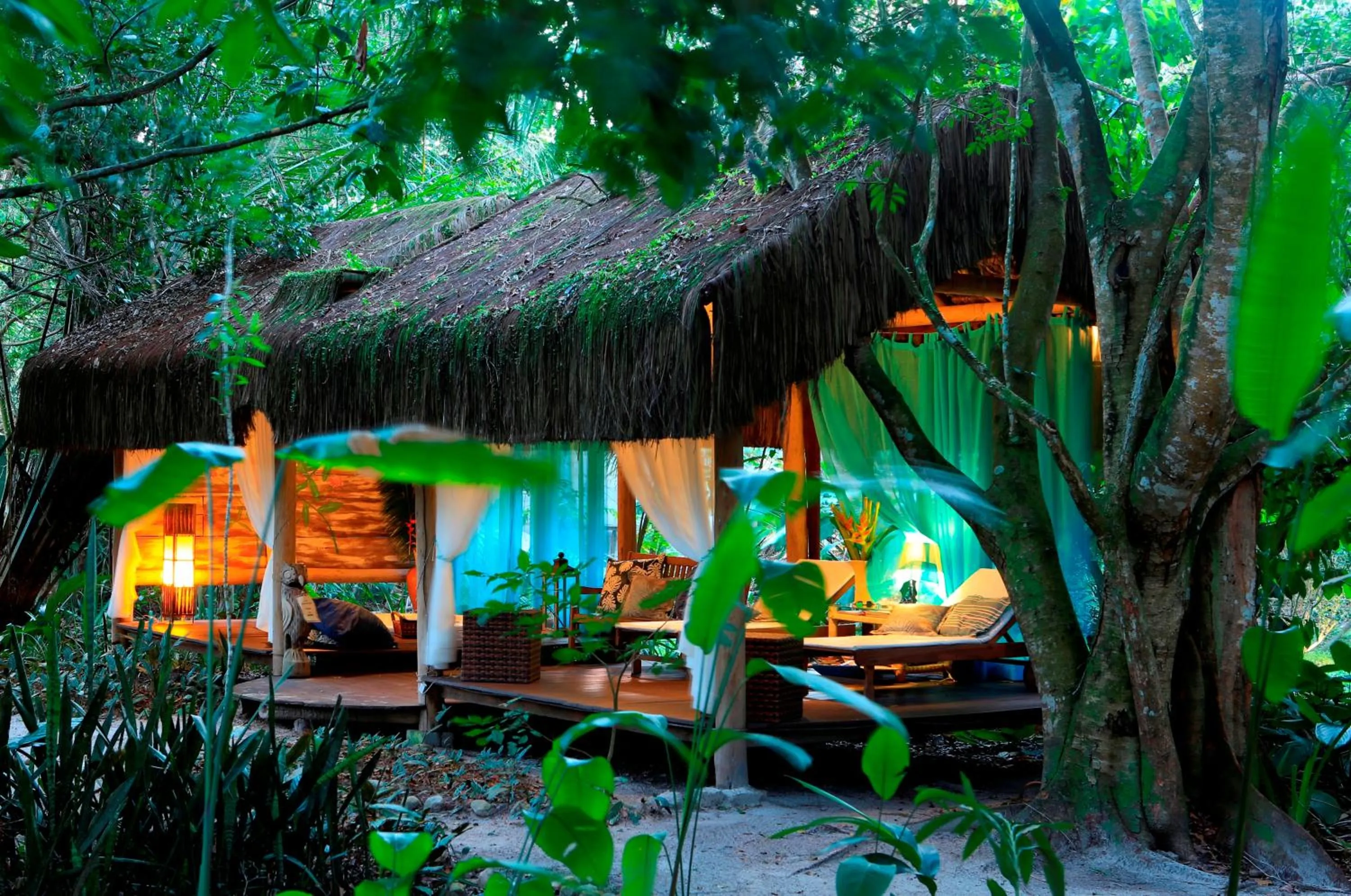 Garden in Mata N'ativa Pousada