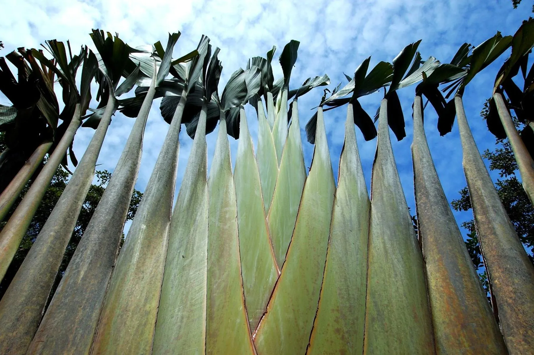 Natural landscape in Mata N'ativa Pousada