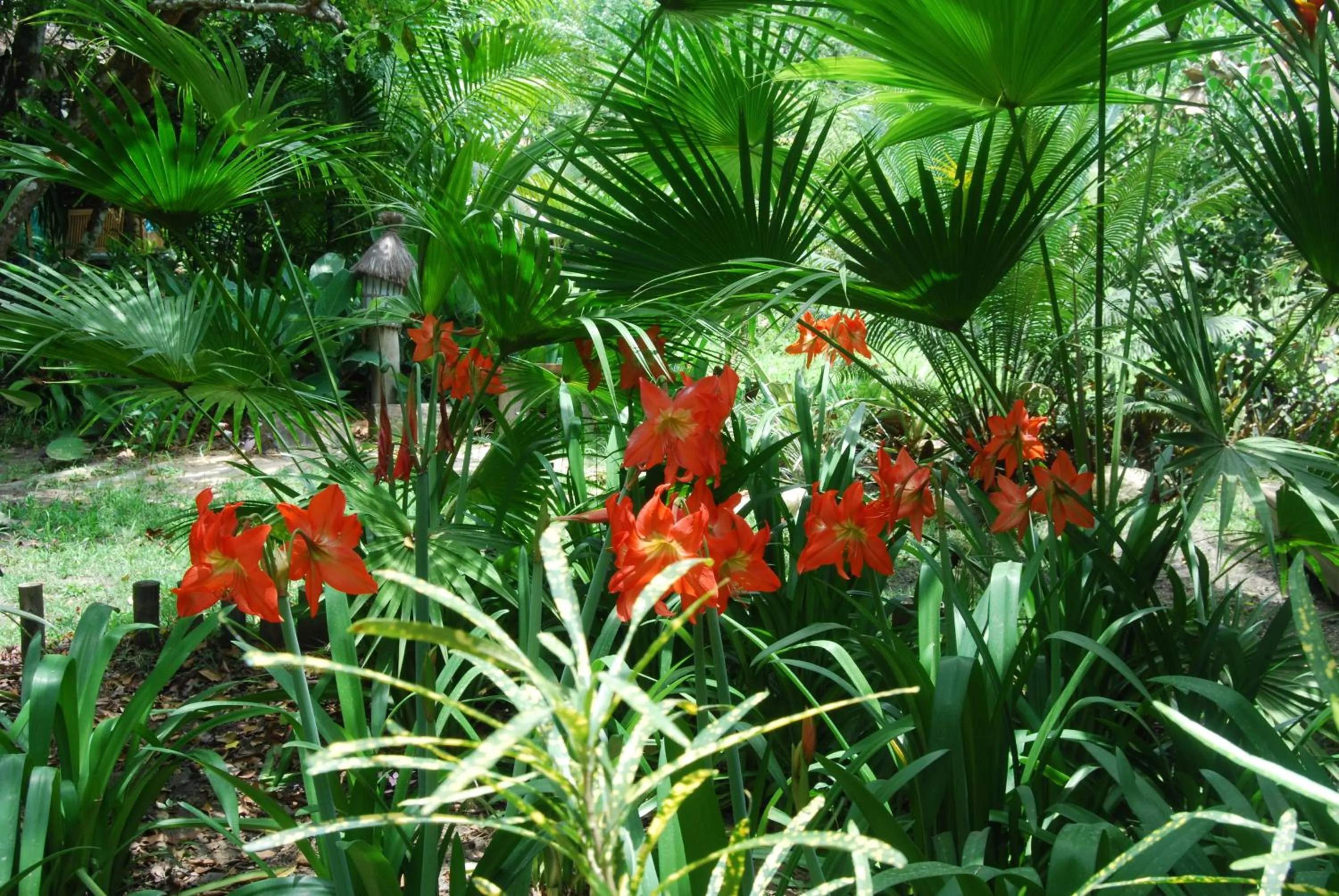Garden in Mata N'ativa Pousada