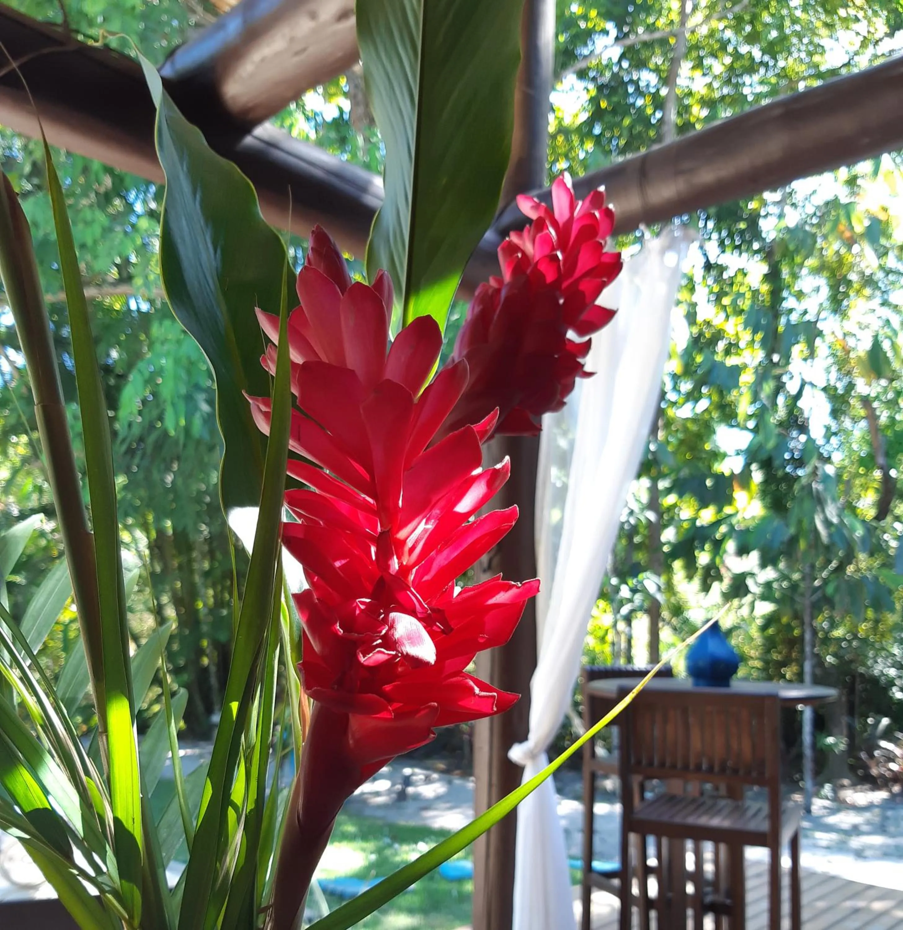 Lounge or bar in Mata N'ativa Pousada