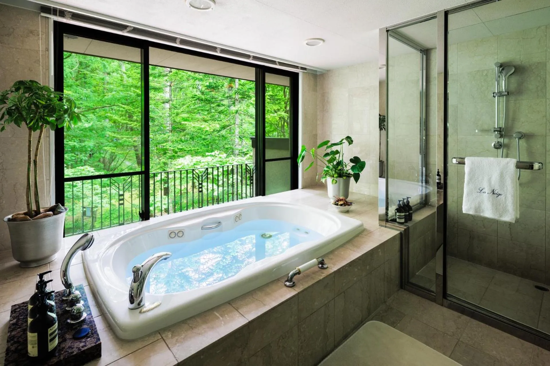 Shower in Hotel La Neige