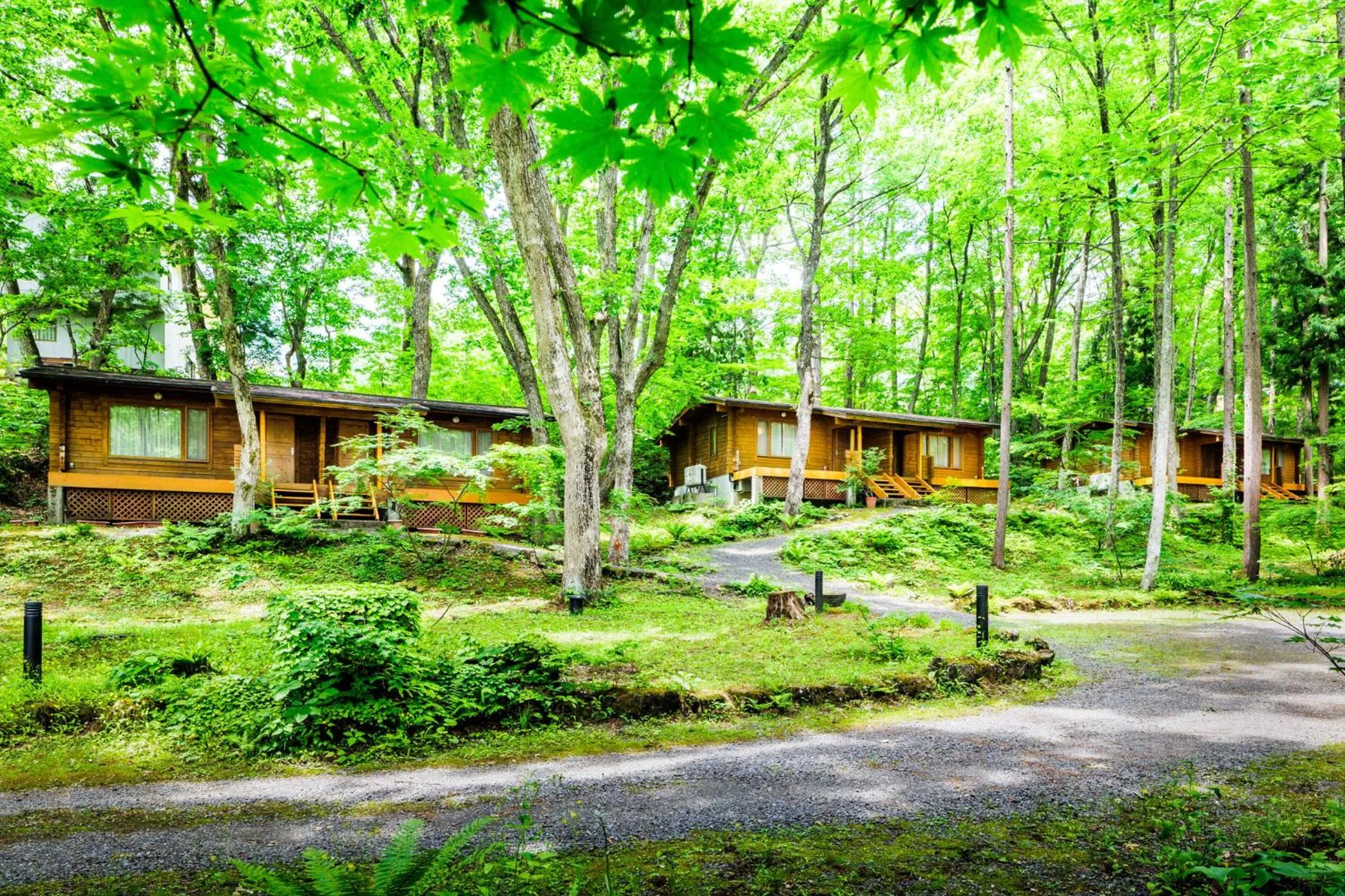 Property building in Hotel La Neige