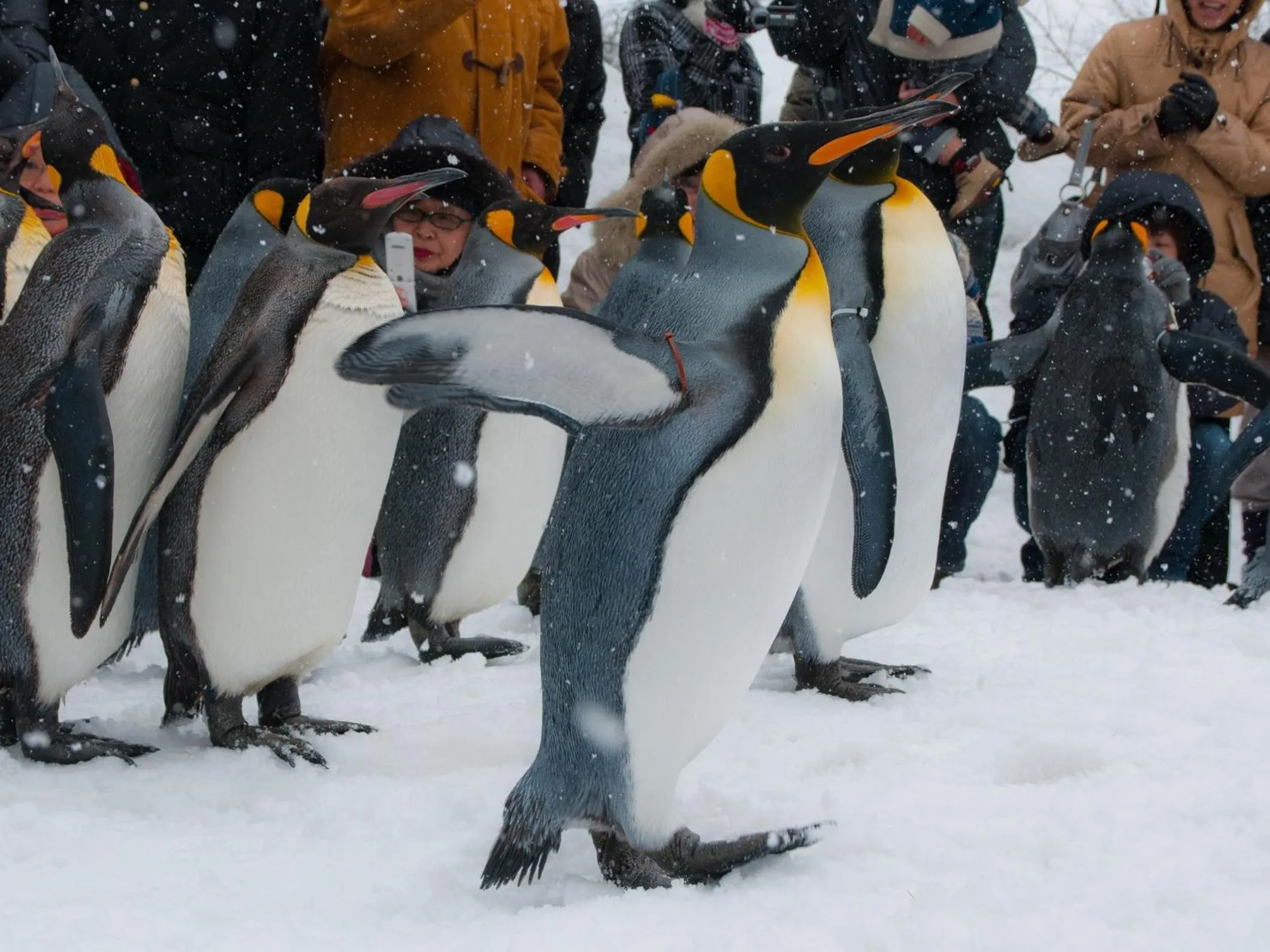 Super Hotel Asahikawa