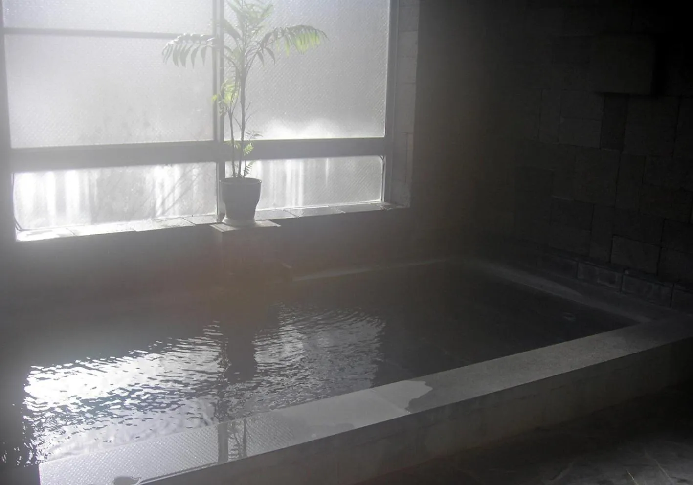 Hot Spring Bath in Hotel Weisser Hof Happei