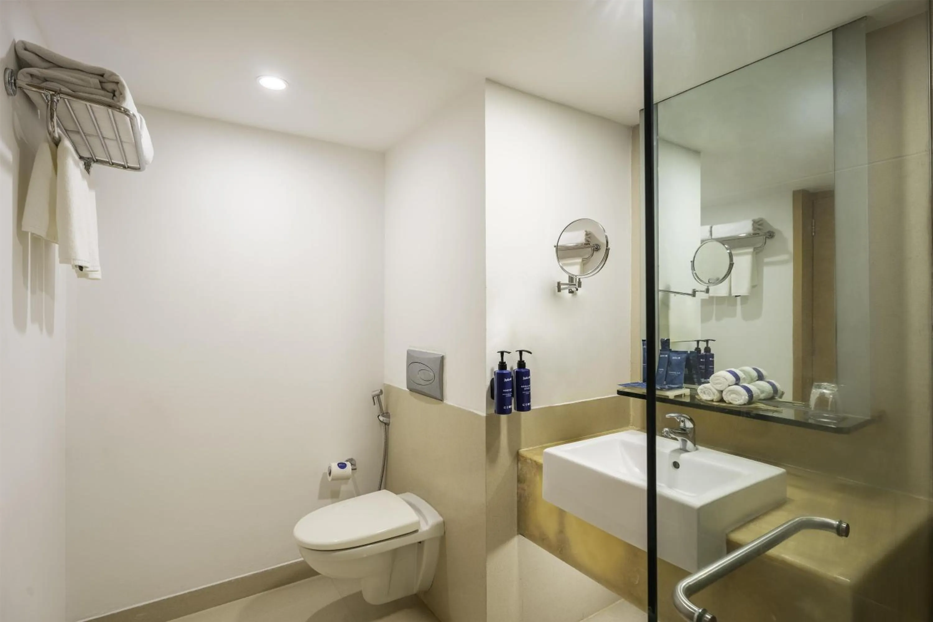 Bathroom in Radisson Blu Hotel Pune Kharadi