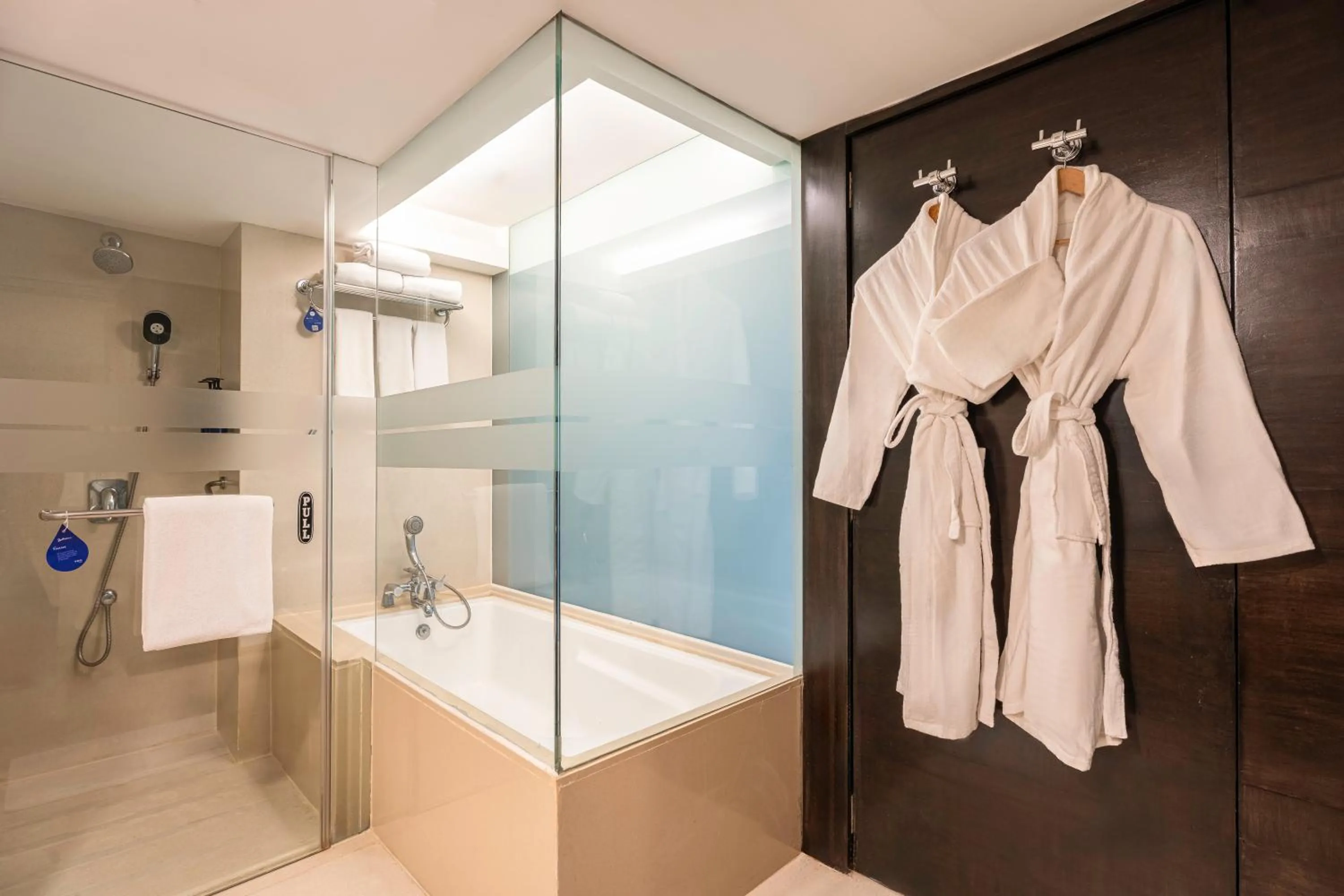 Bathroom in Radisson Blu Hotel Pune Kharadi
