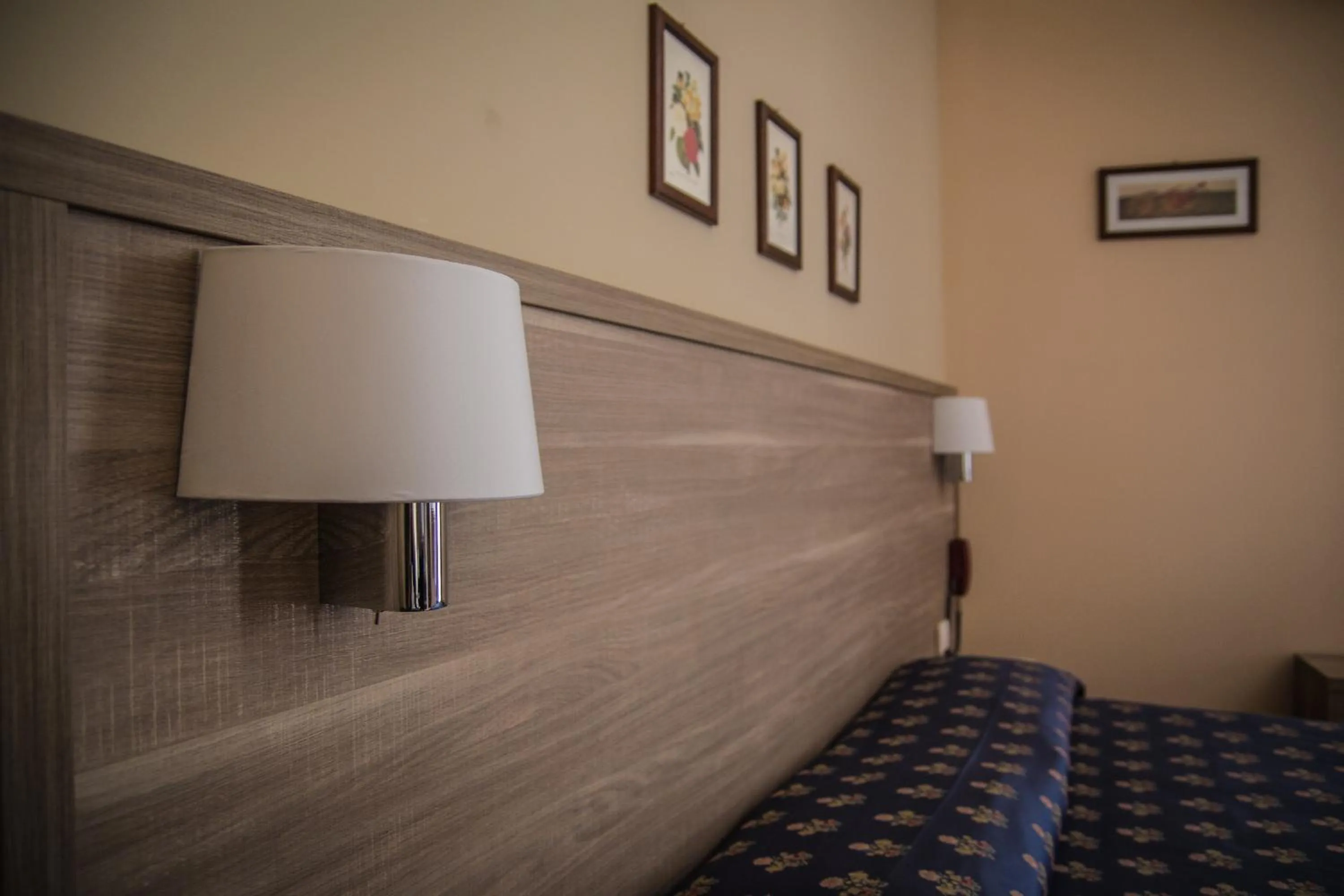 Bed in Albergo Penza