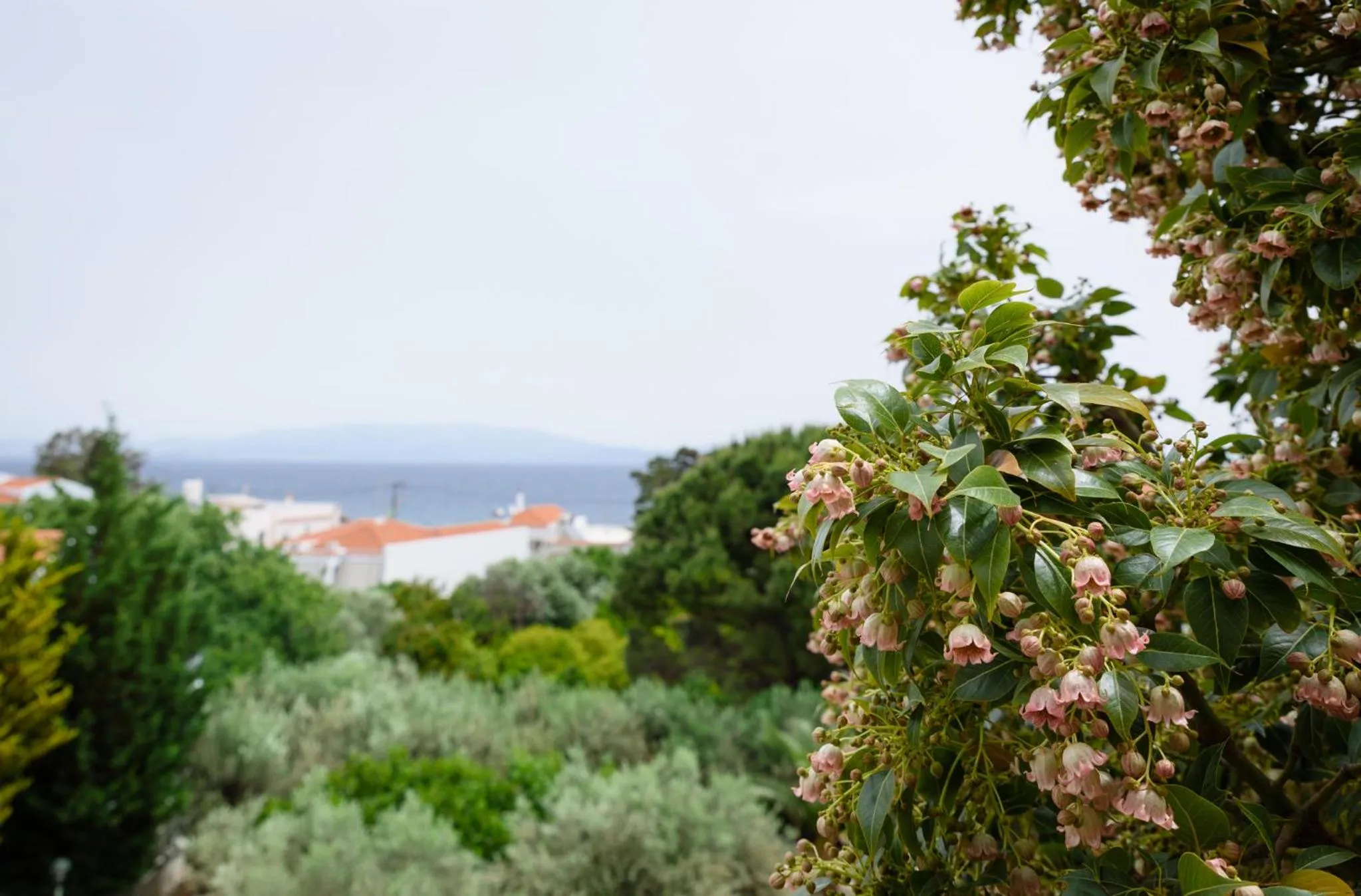 Spring in Kyveli Hotel Apartments