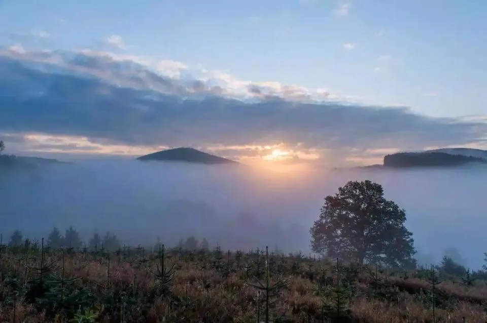 Pension Alois Hennecke