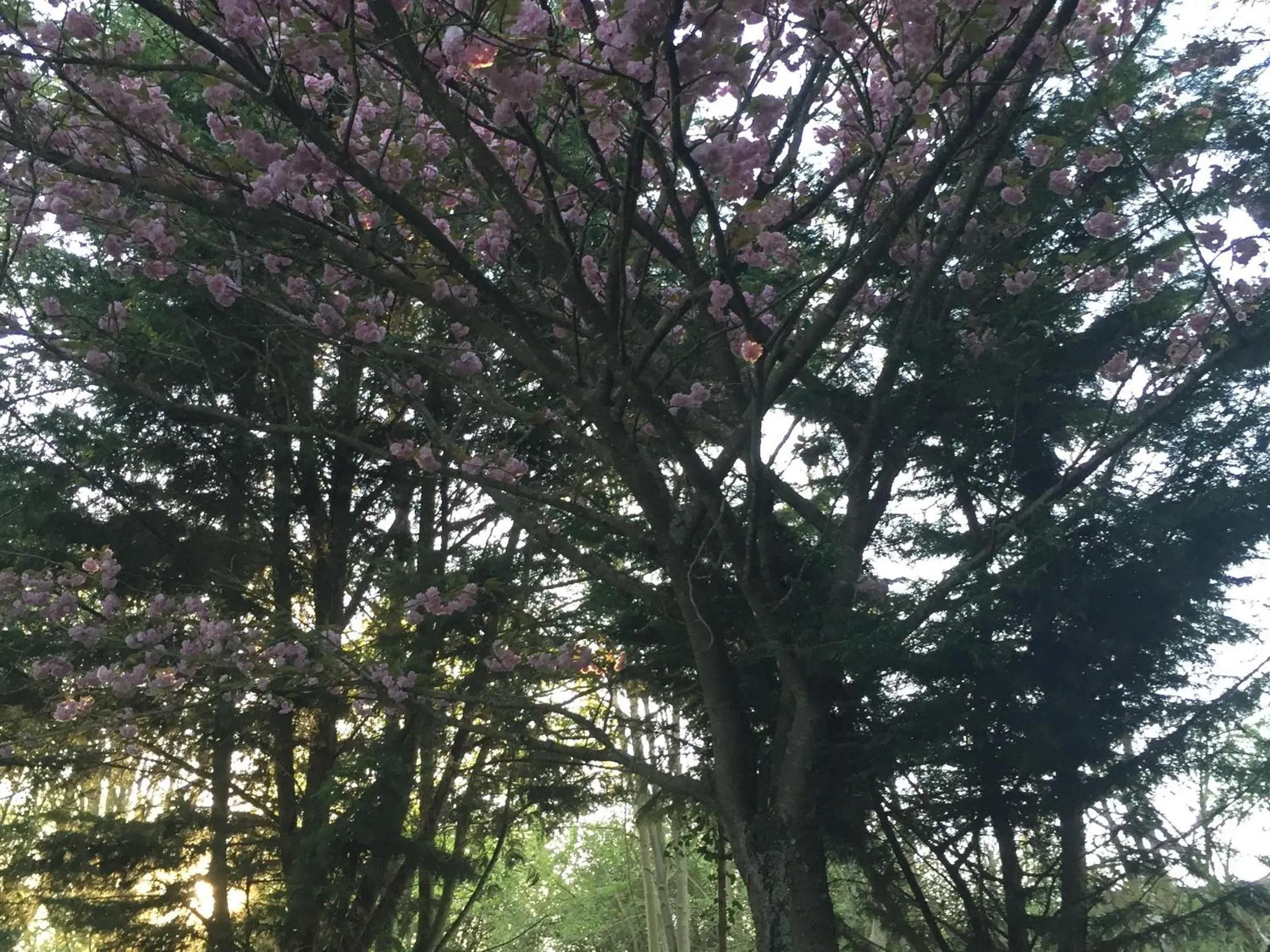 Property building in La Ferme des Moulineaux