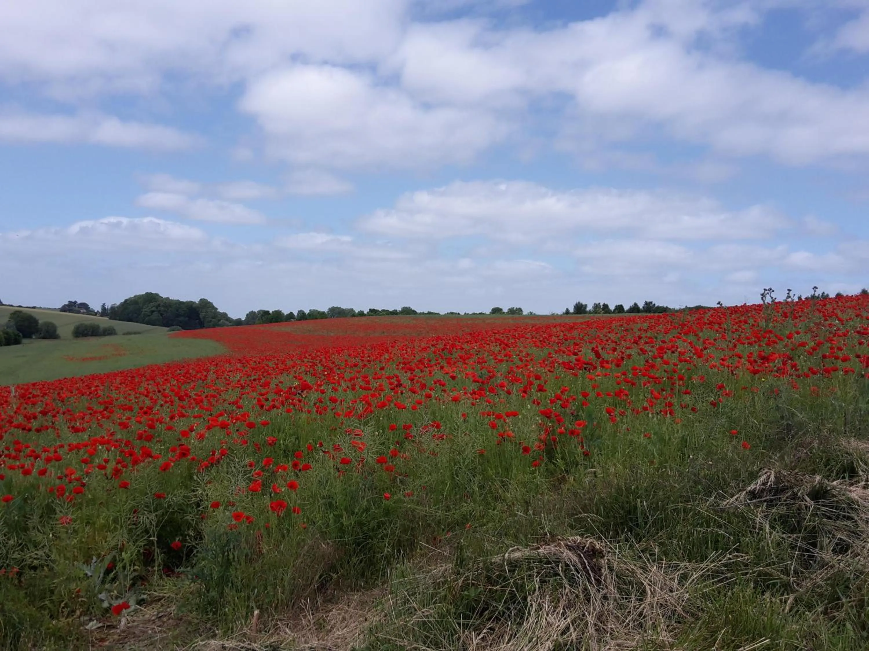 Property building in La Ferme des Moulineaux