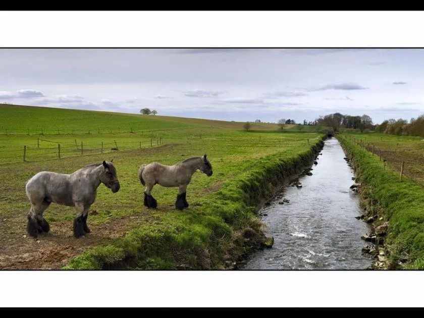 Other in La Ferme des Moulineaux