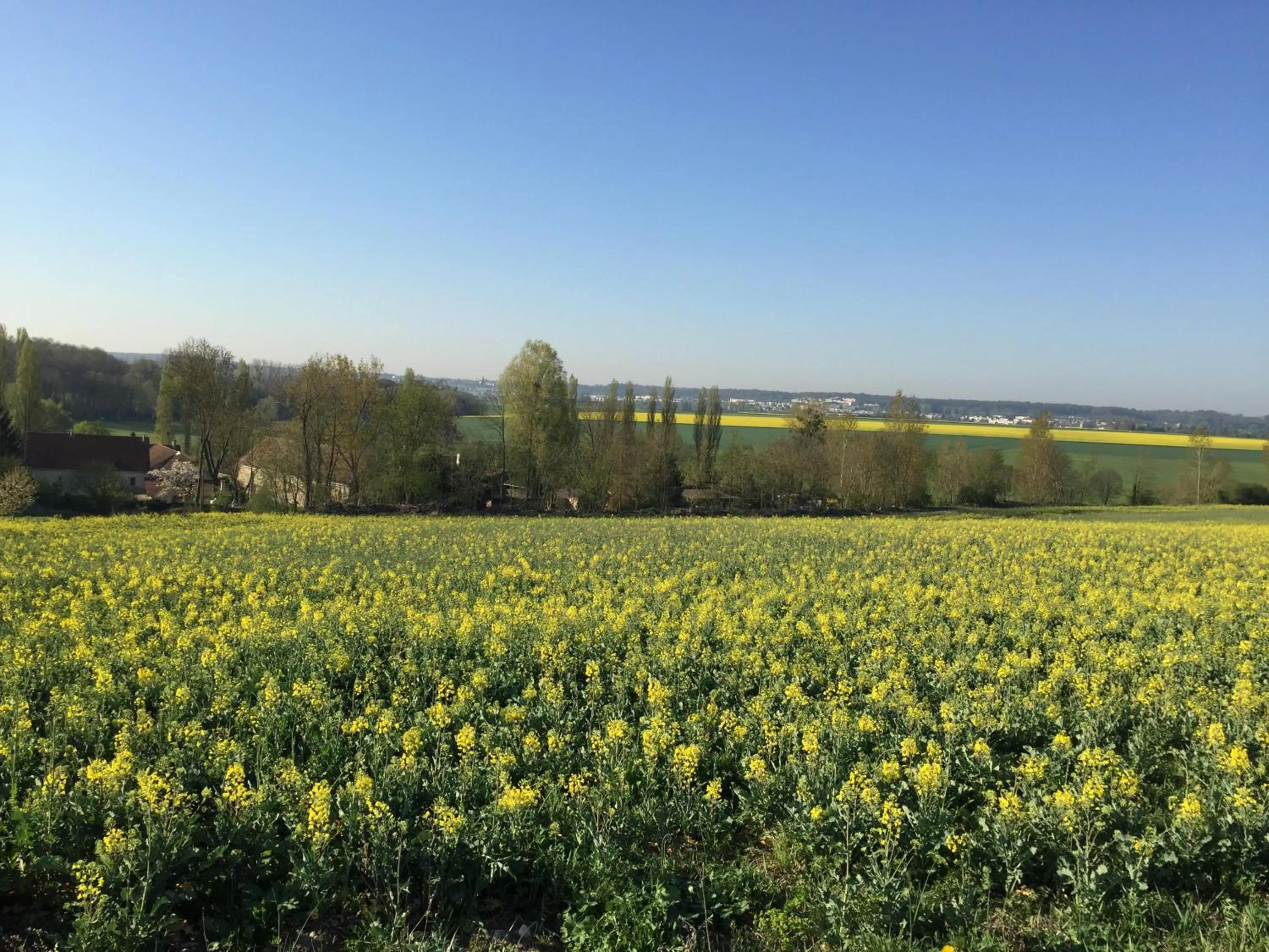 View (from property/room) in La Ferme des Moulineaux