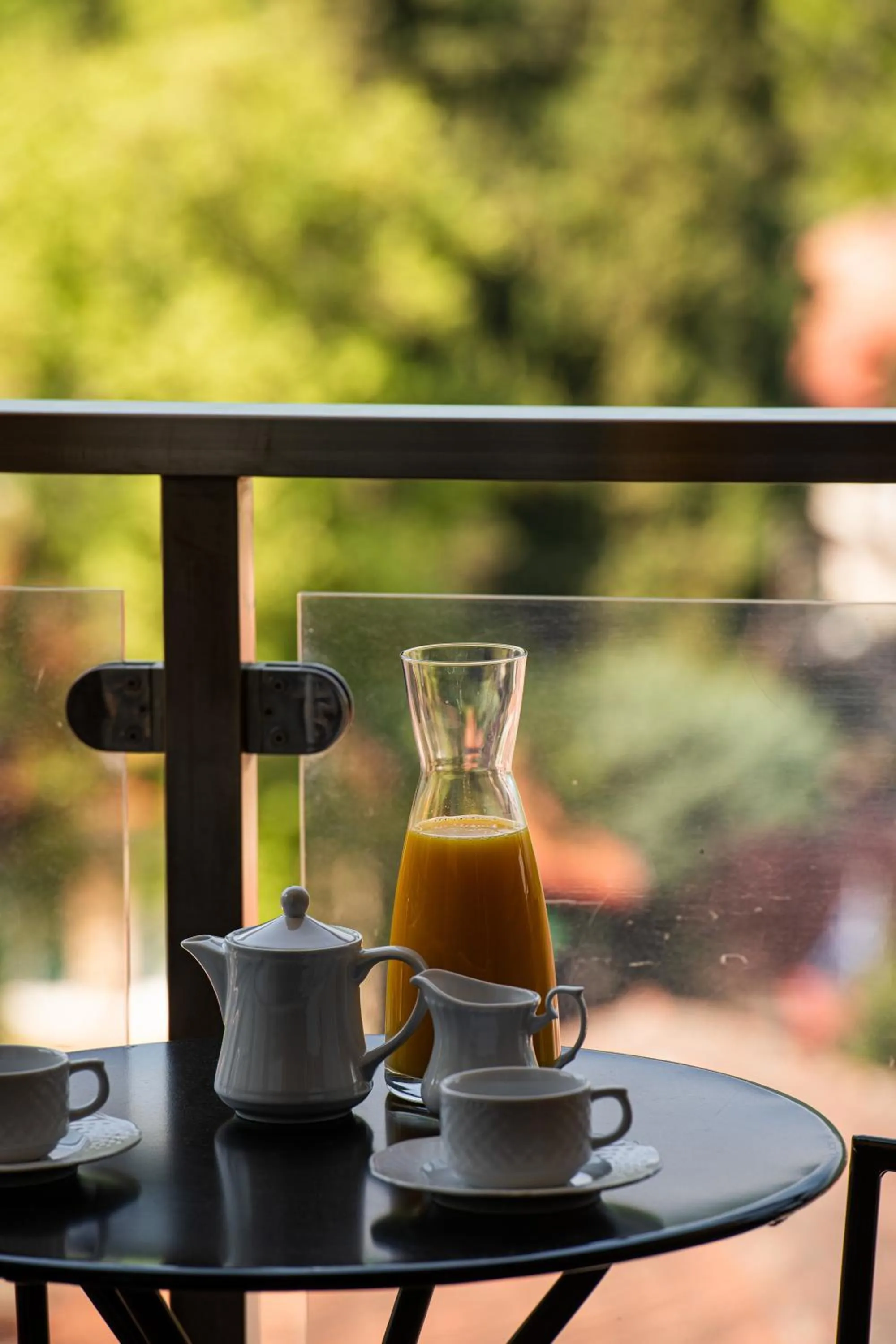 Balcony/Terrace in Hotel Naiades