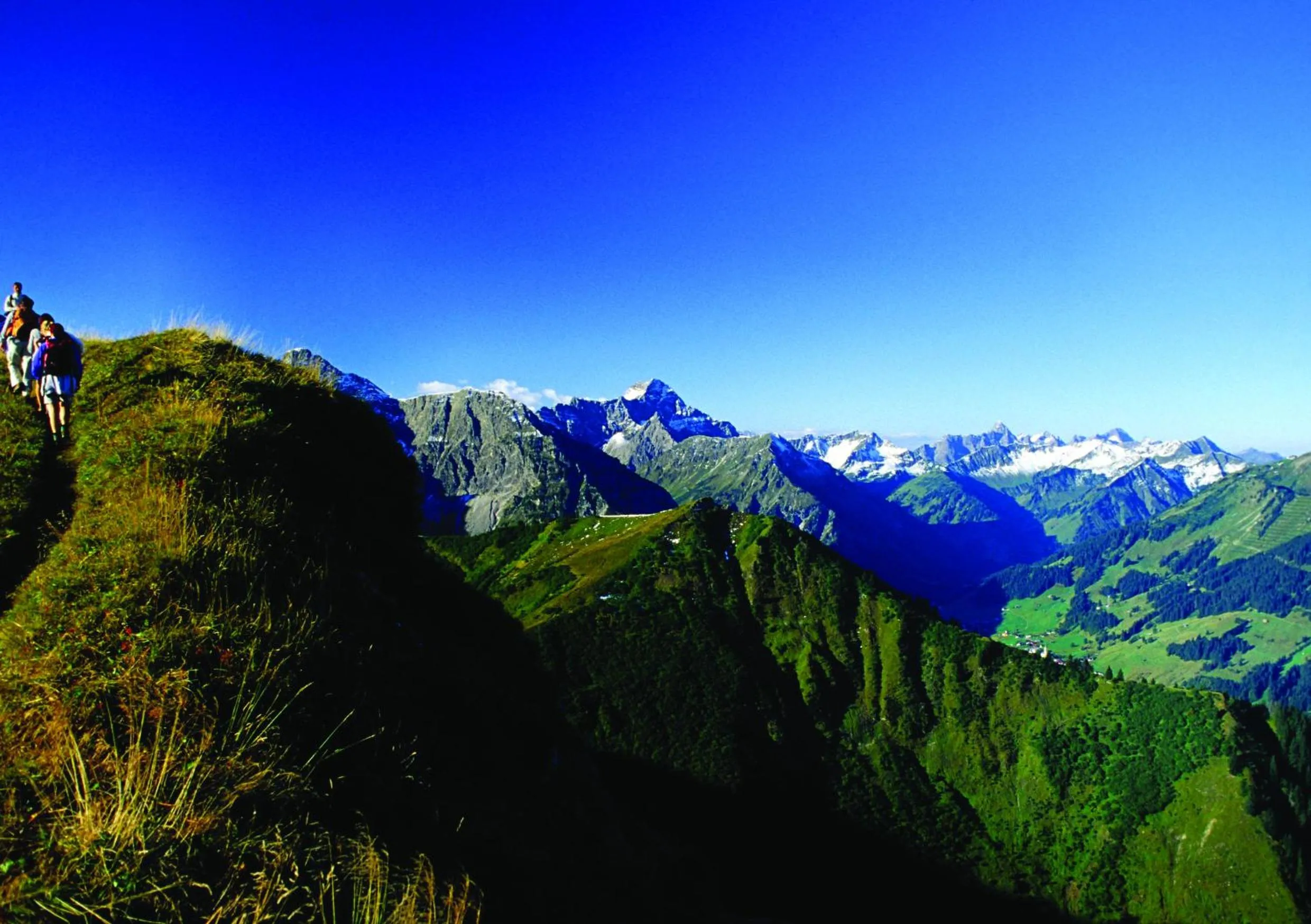 Hiking in Hotel Almhof Rupp