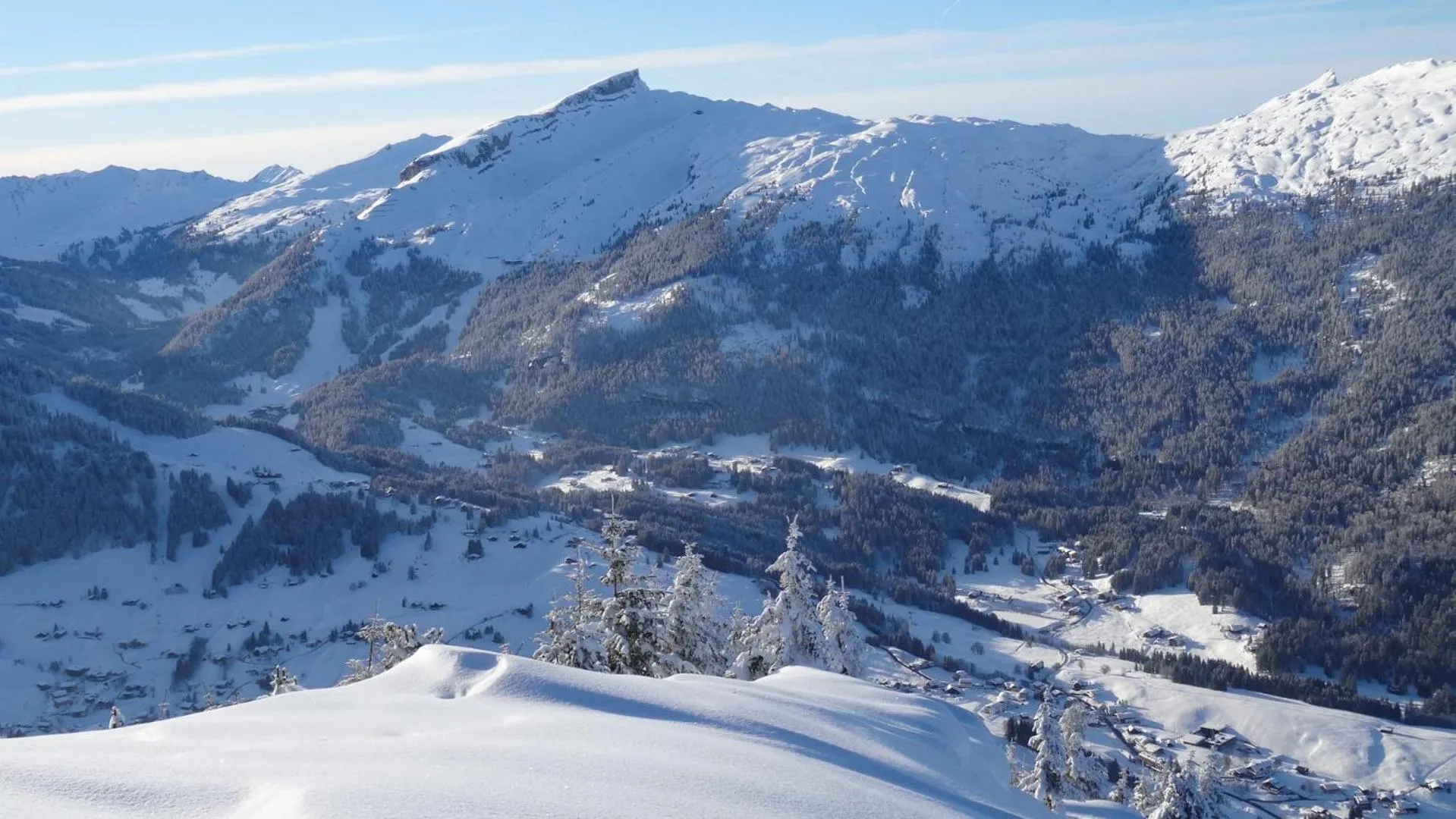 Natural landscape in Hotel Almhof Rupp