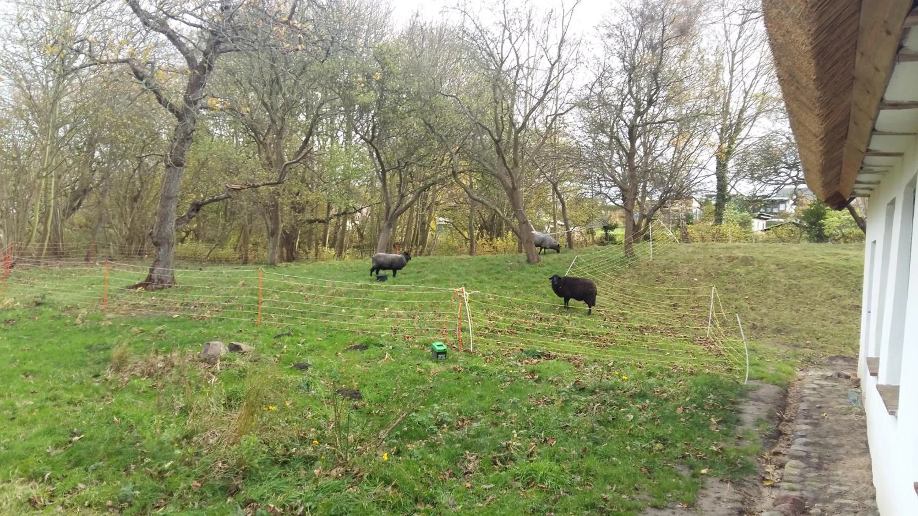 Pets in Altes Pfarrhaus