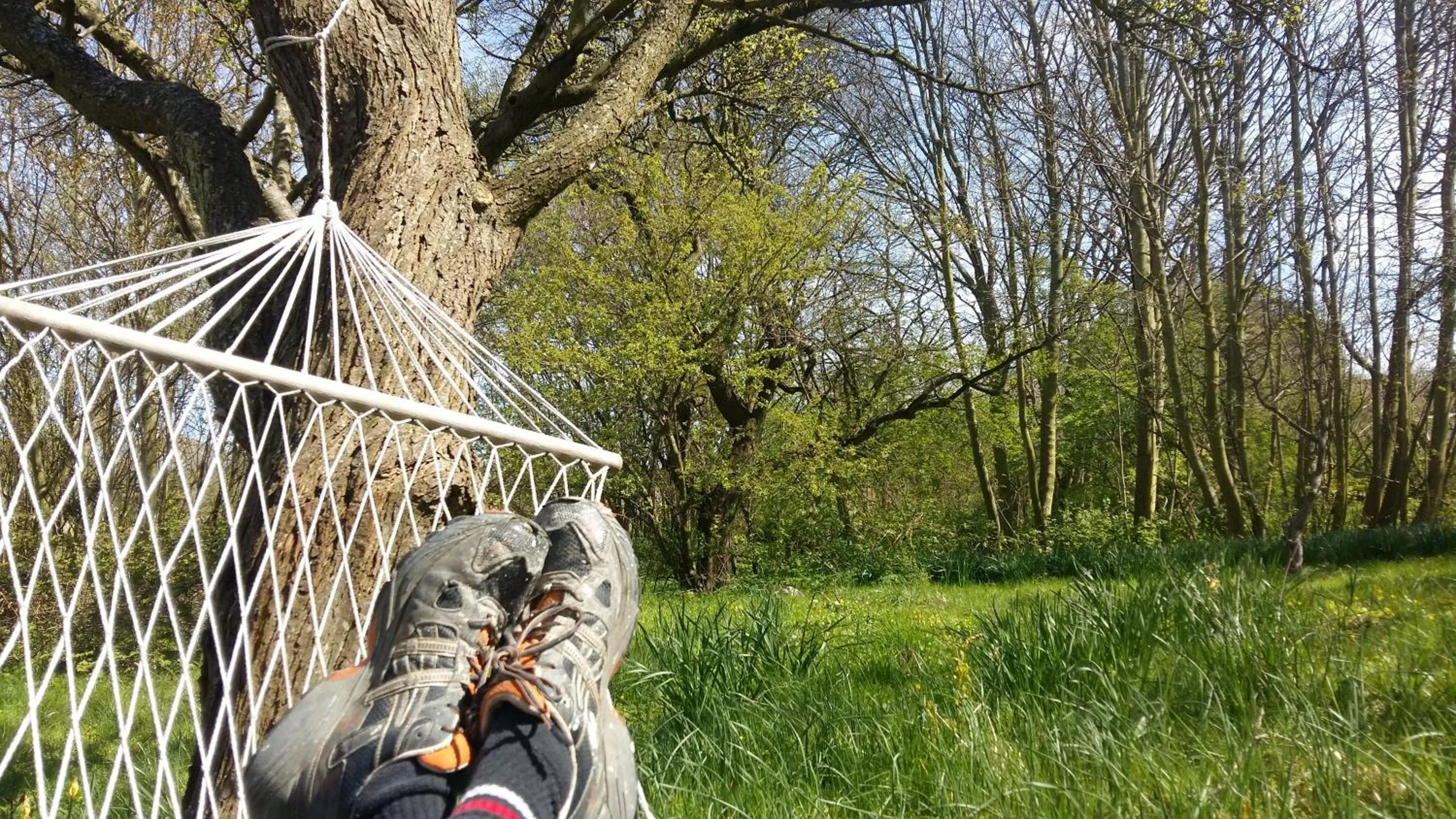 Garden in Altes Pfarrhaus