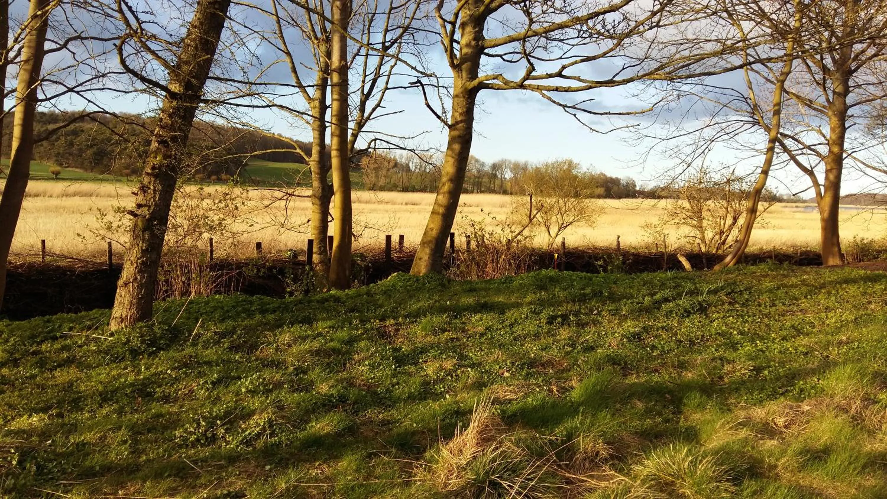 Garden in Altes Pfarrhaus
