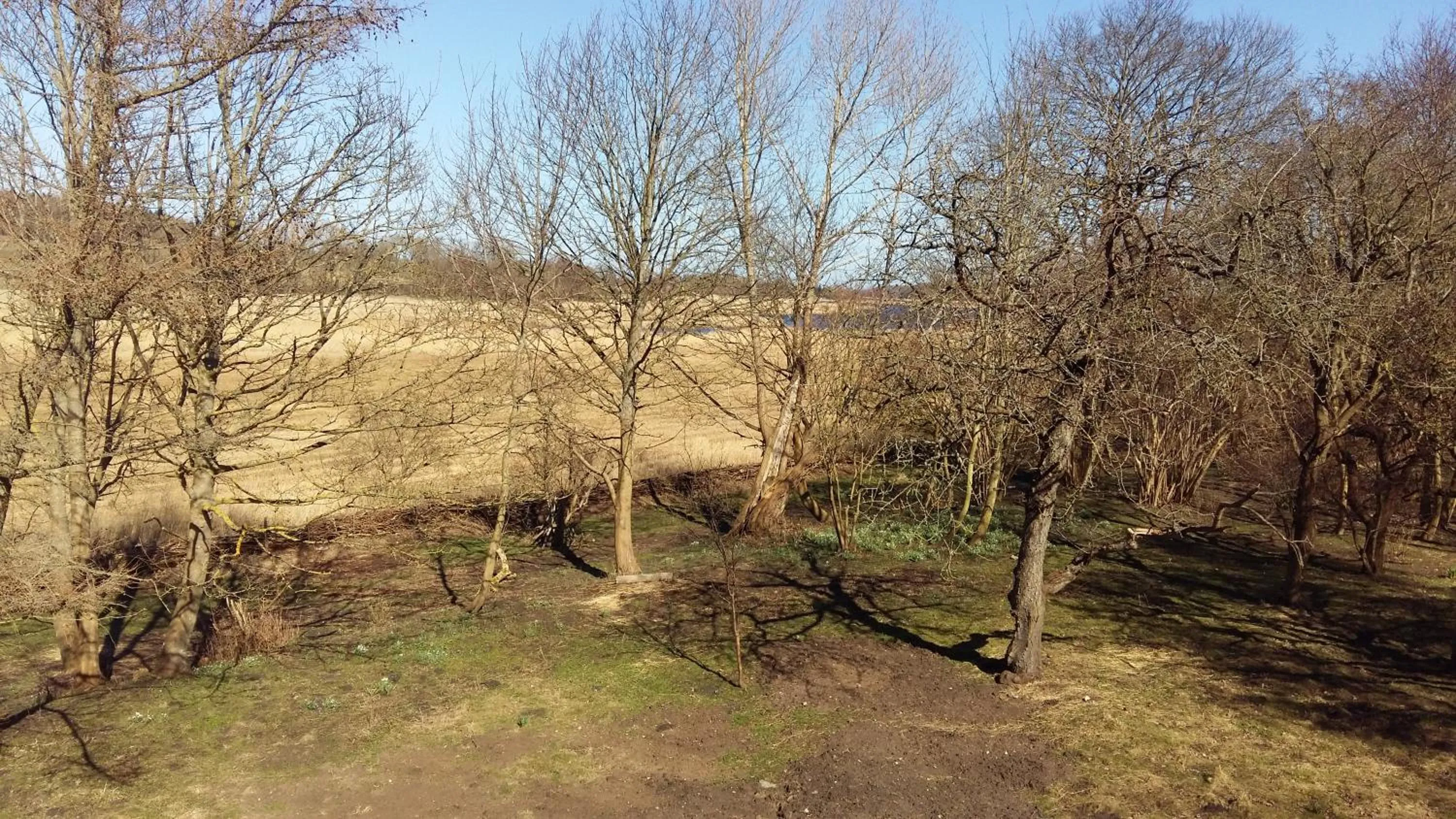 Garden in Altes Pfarrhaus