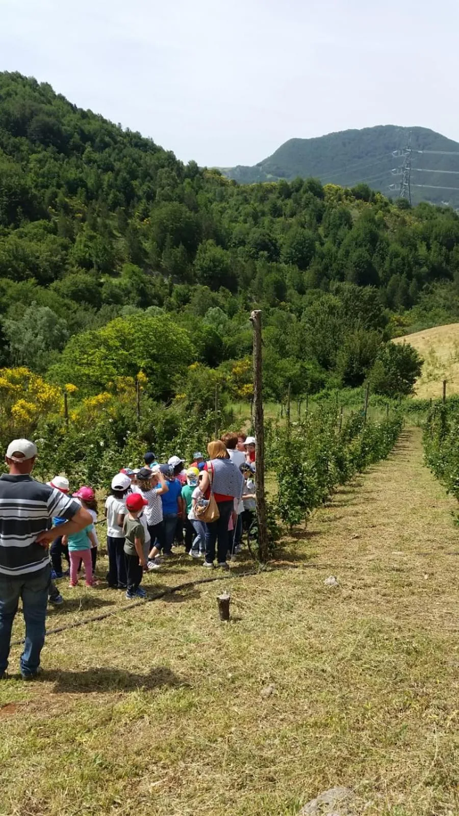 Summer in B&B Il Ghiro-Country House