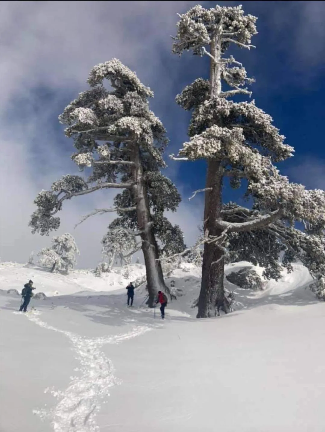 Winter in B&B Il Ghiro-Country House