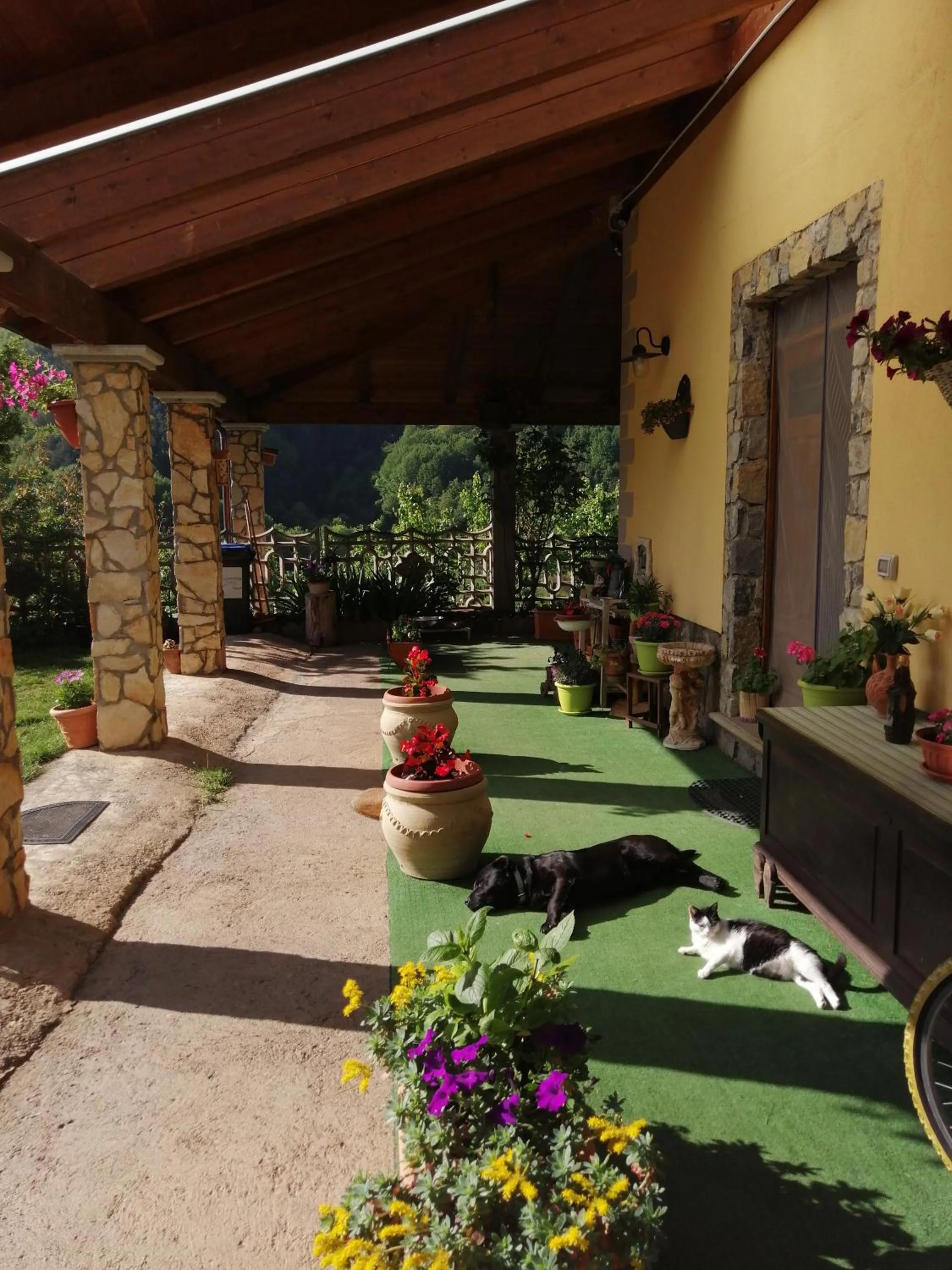 Pets in B&B Il Ghiro-Country House