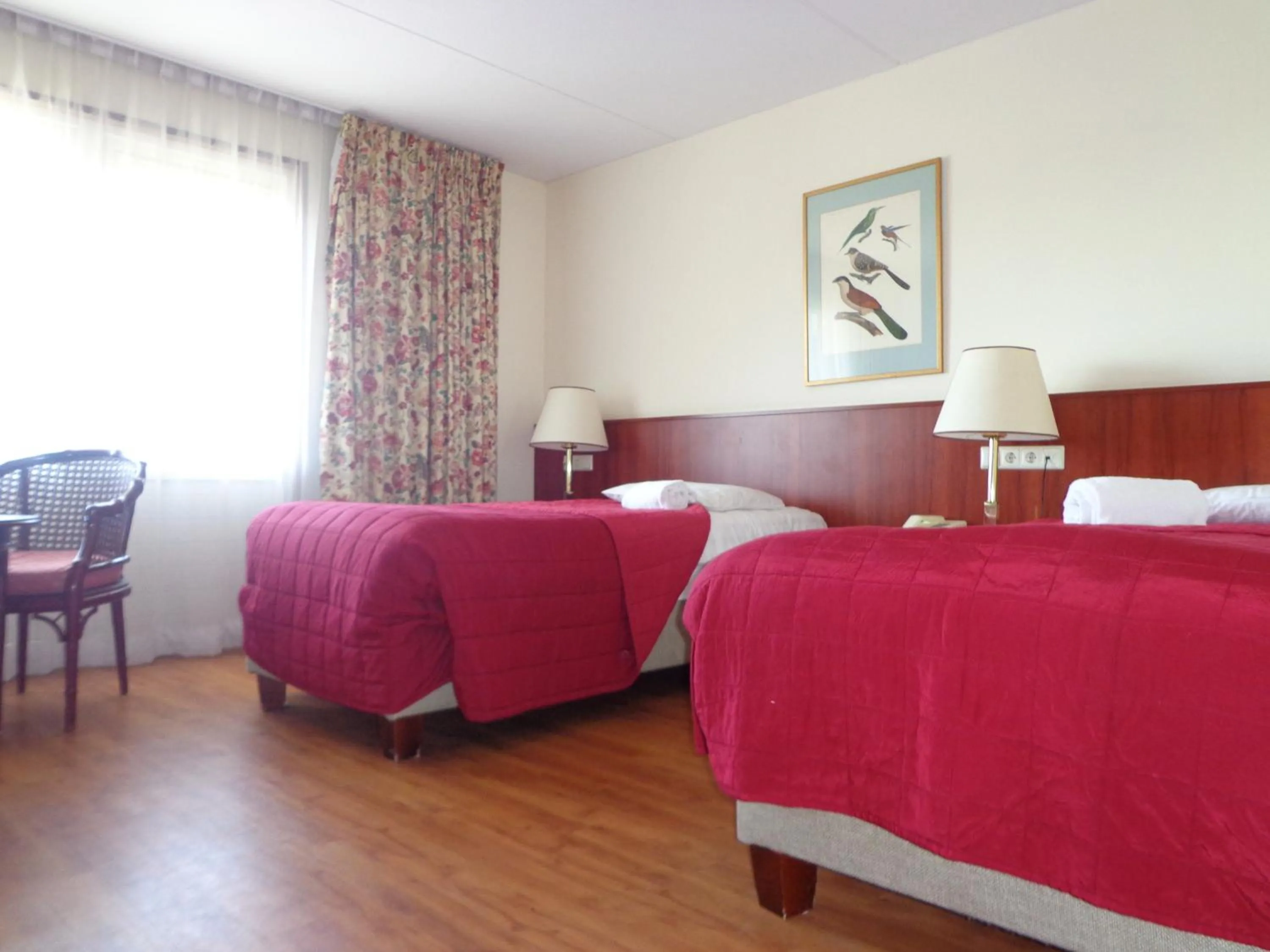 Bed in De Rijper Eilanden