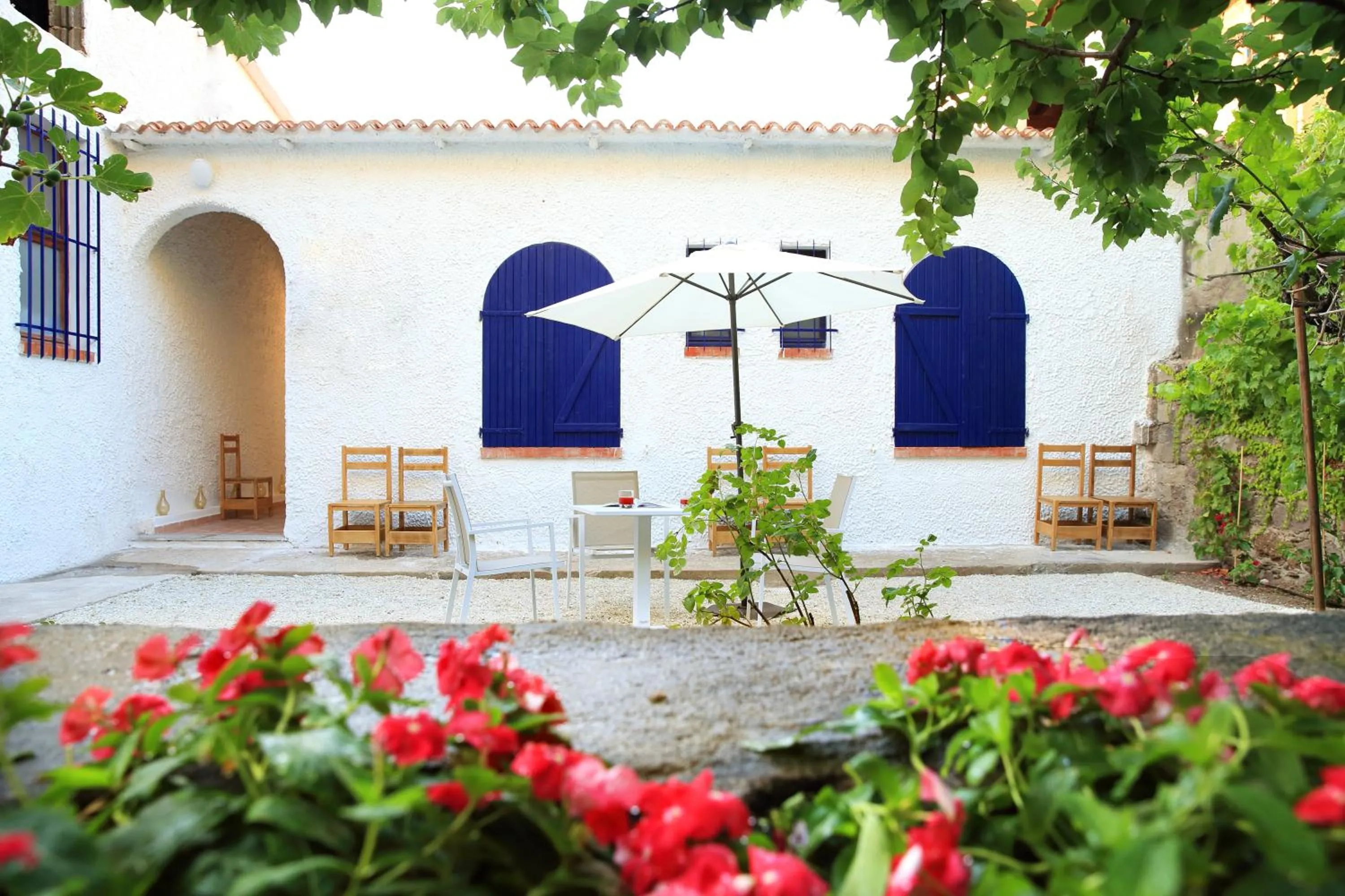 Garden in Hotel Meli