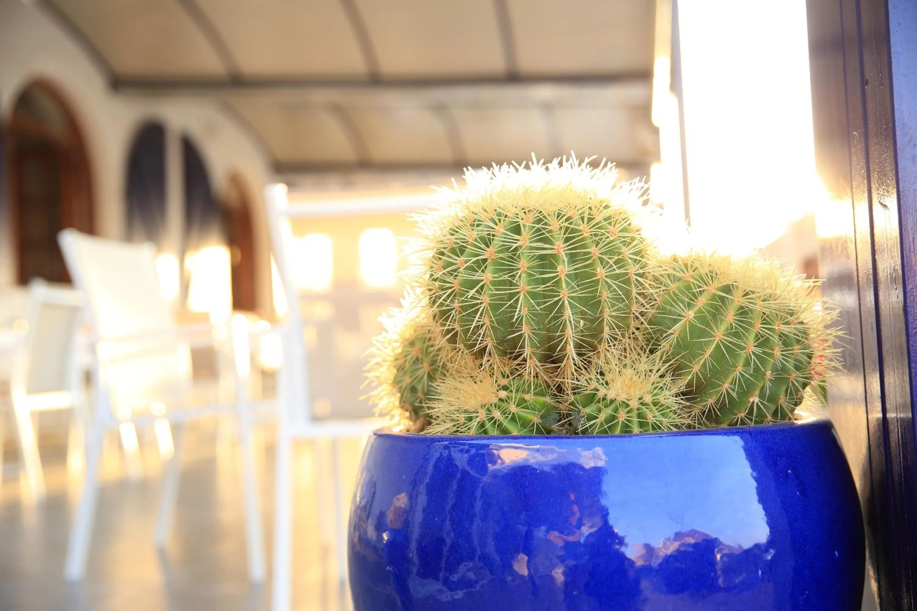 Decorative detail in Hotel Meli