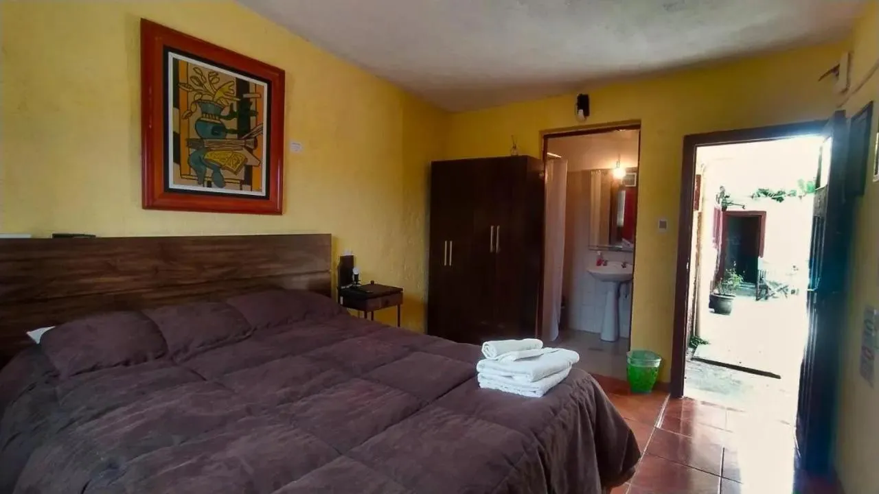 Double Room - single occupancy in Hostel Ibirapita